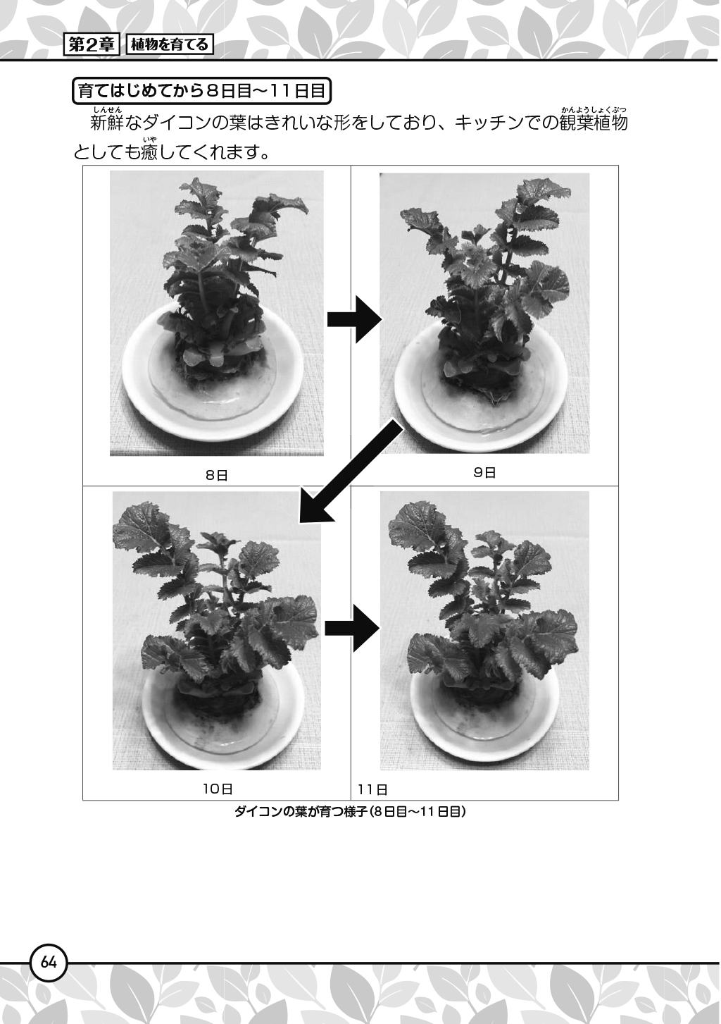 サムネイル画像4