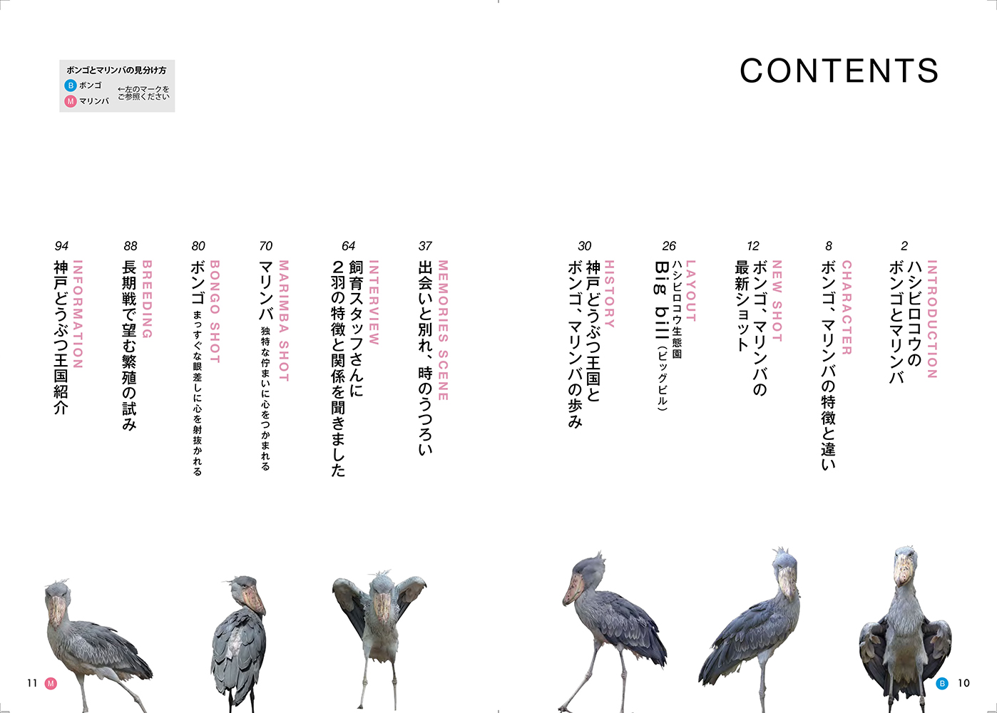 サムネイル画像3