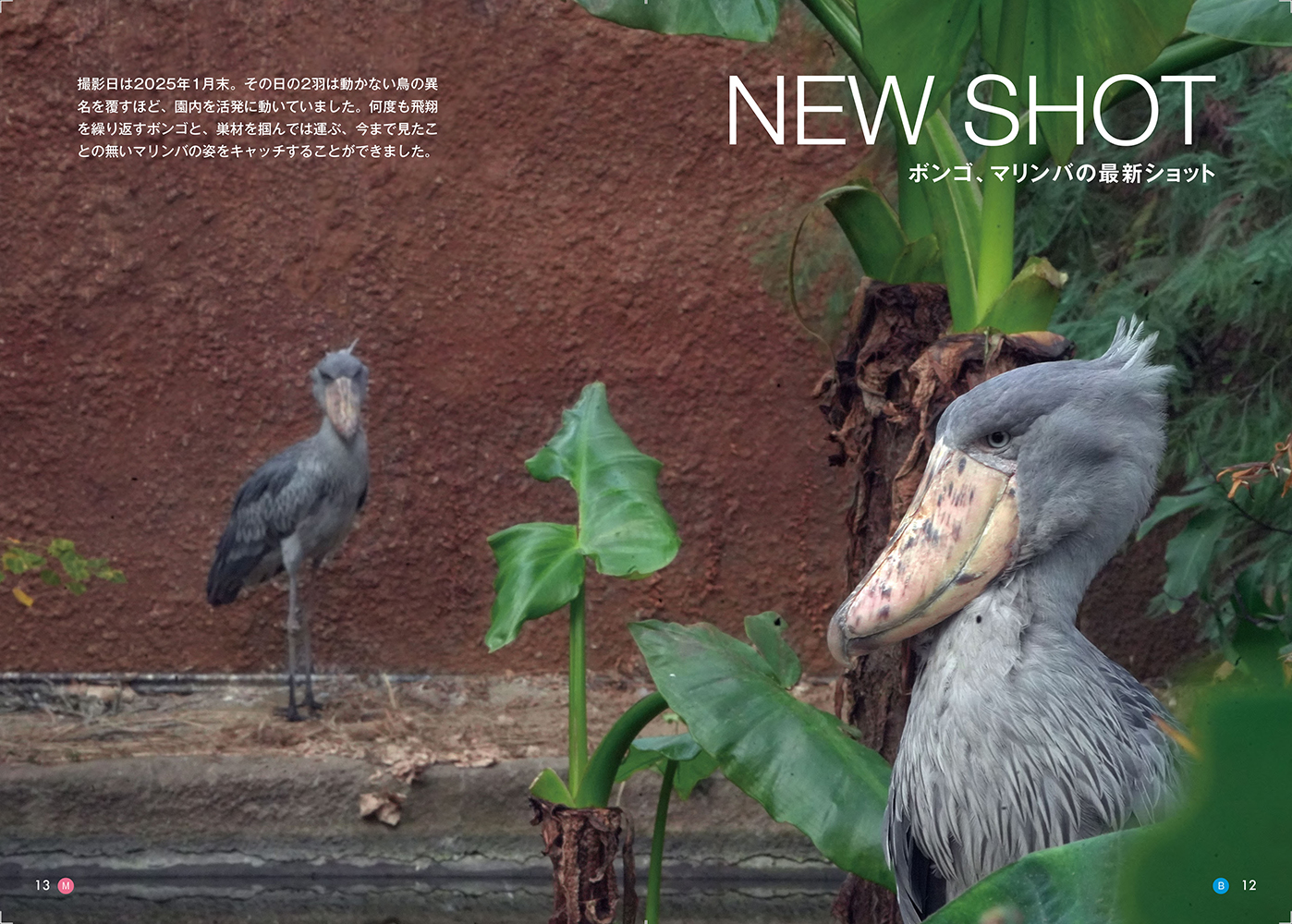 サムネイル画像4