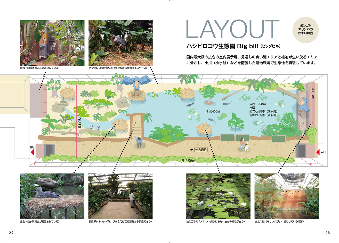 サムネイル画像5
