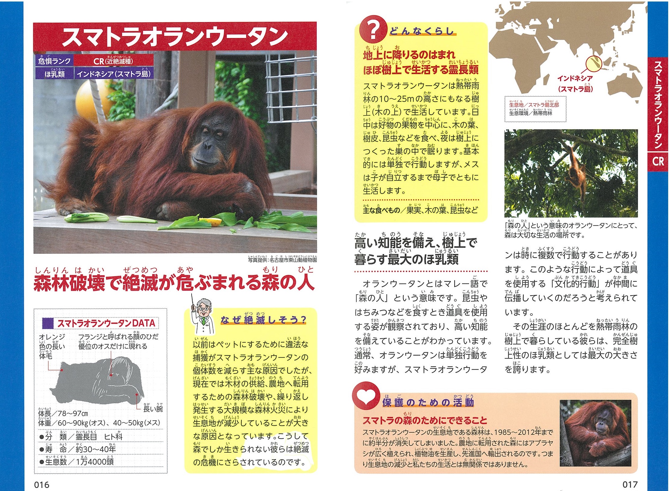サムネイル画像3