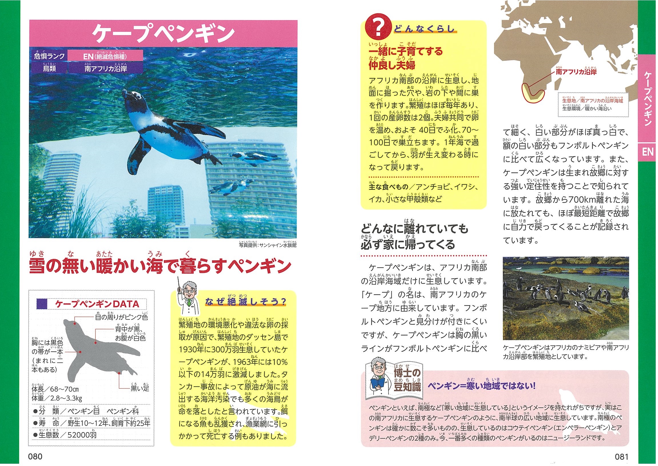 サムネイル画像4