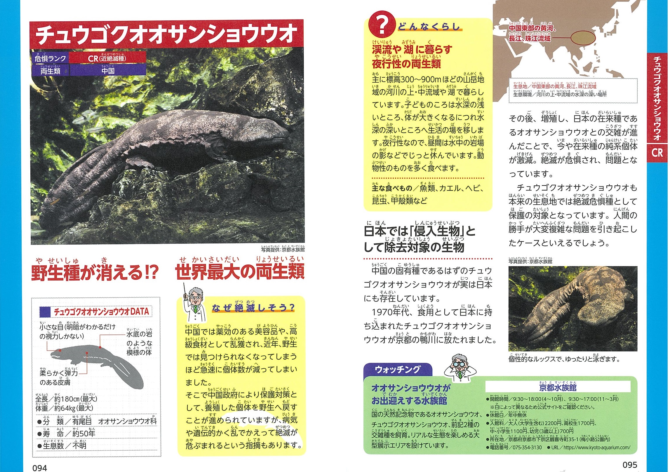 サムネイル画像5