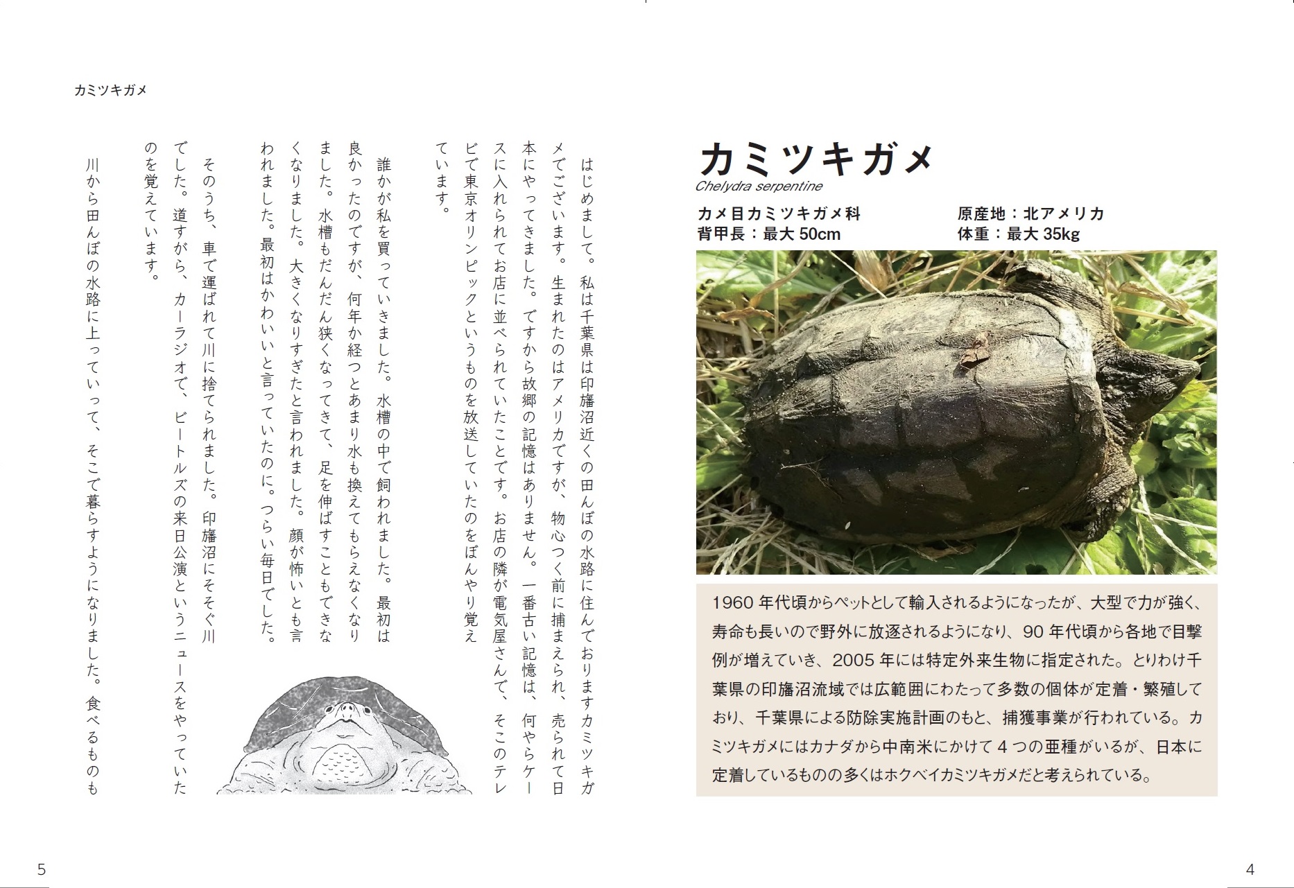 サムネイル画像2