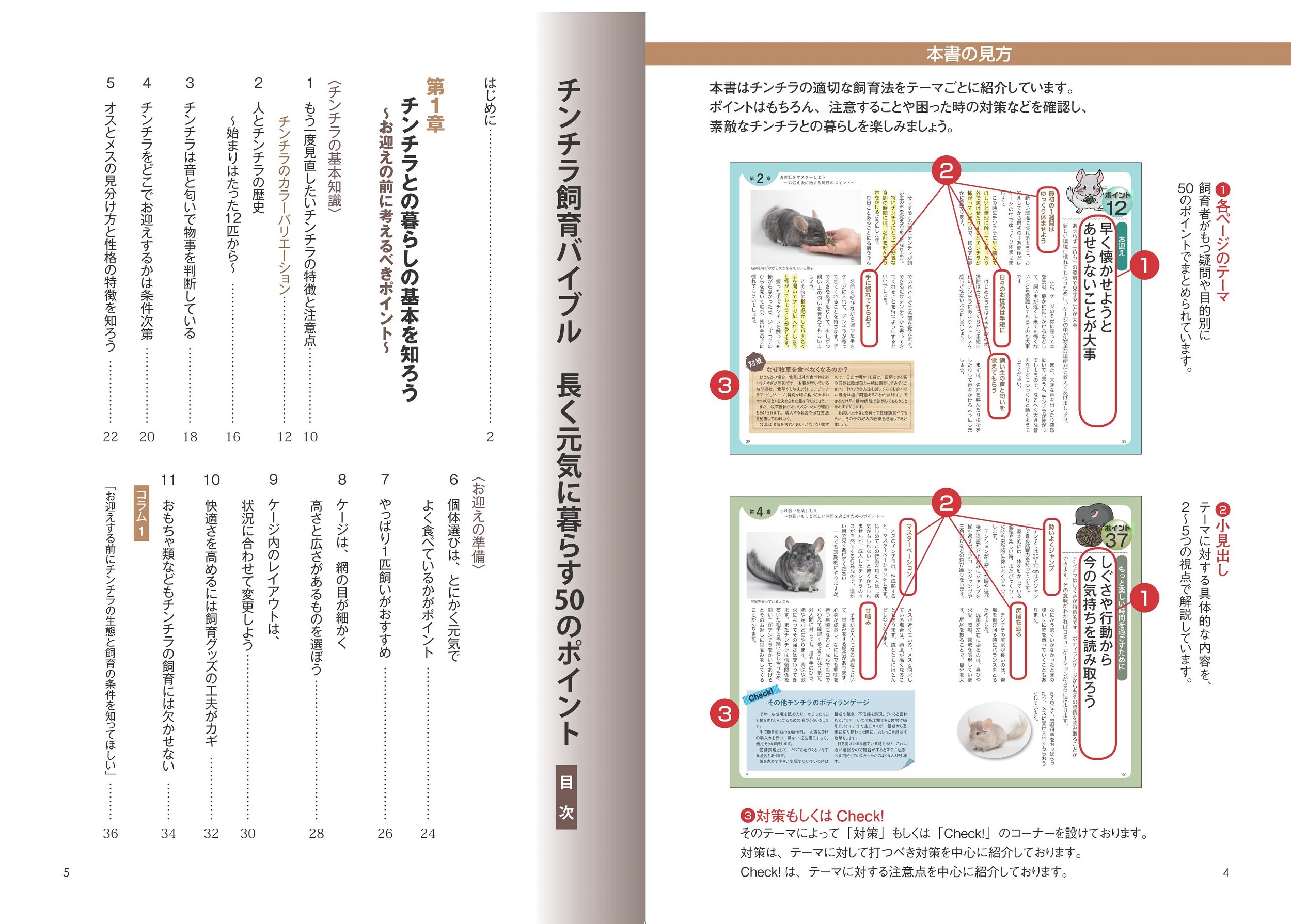 サムネイル画像1