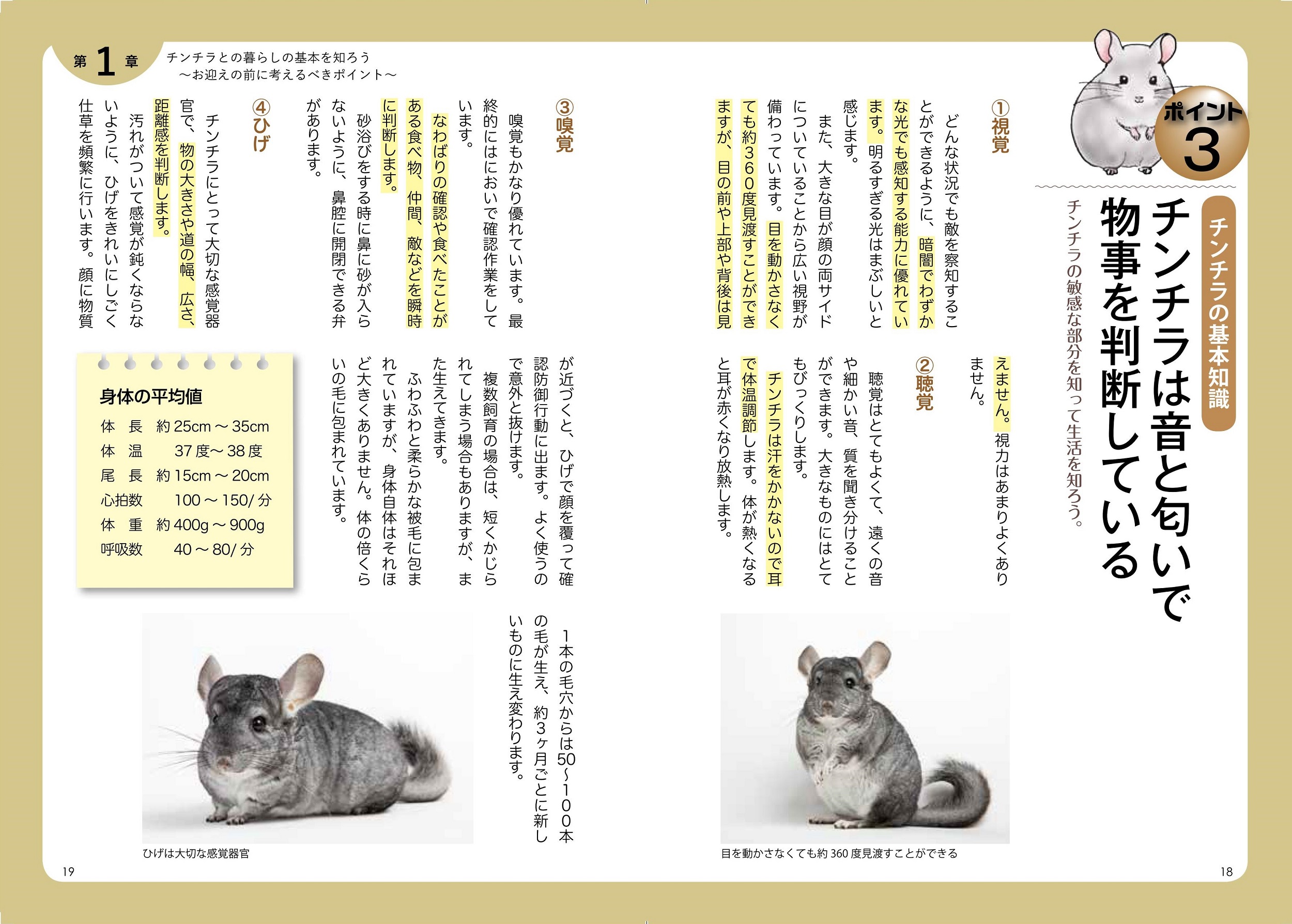 サムネイル画像4