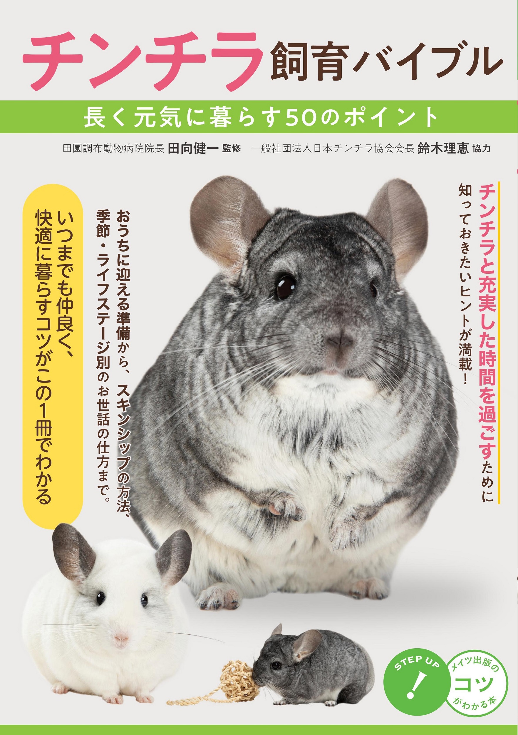 メイン画像