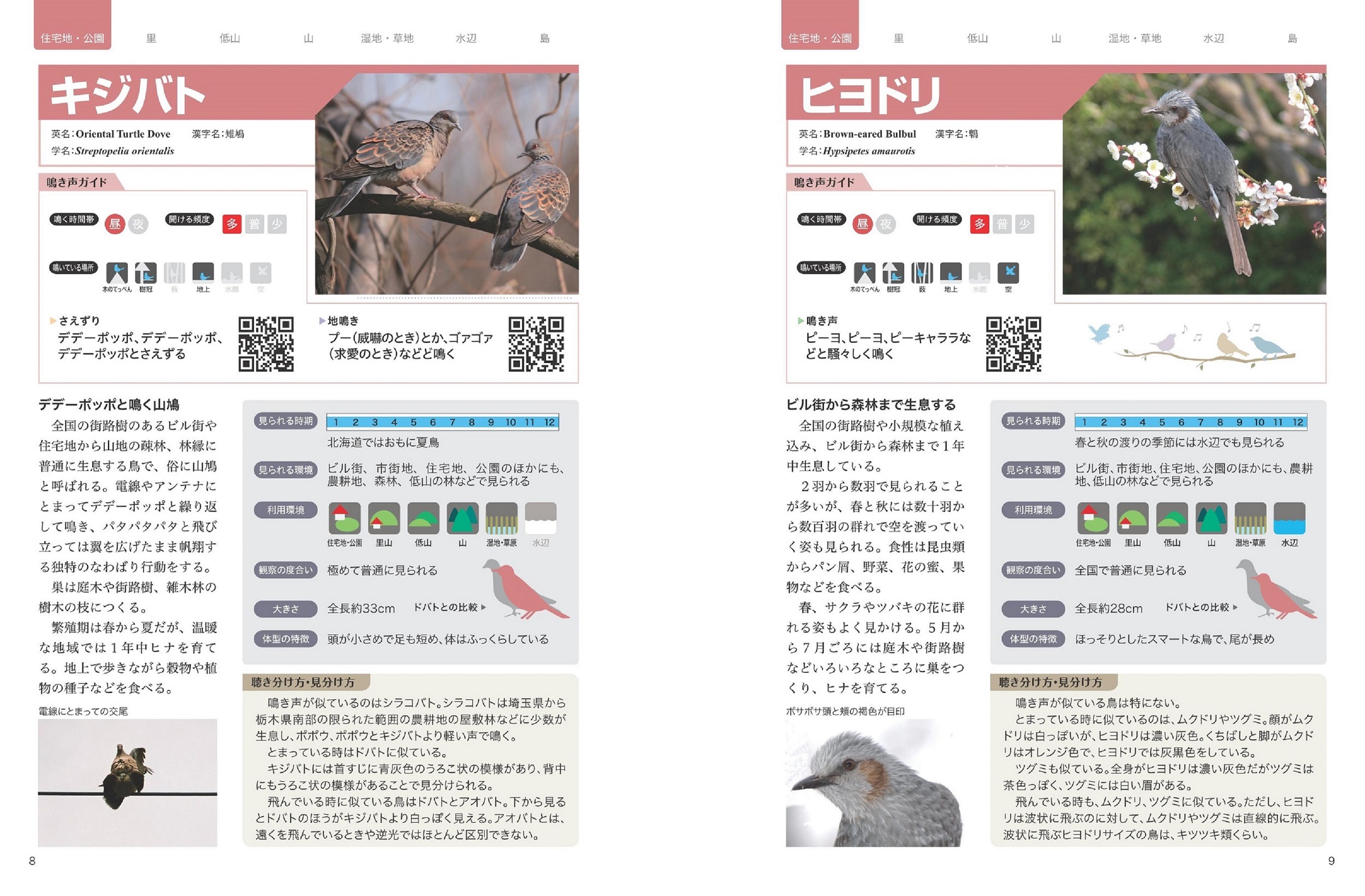 サムネイル画像3