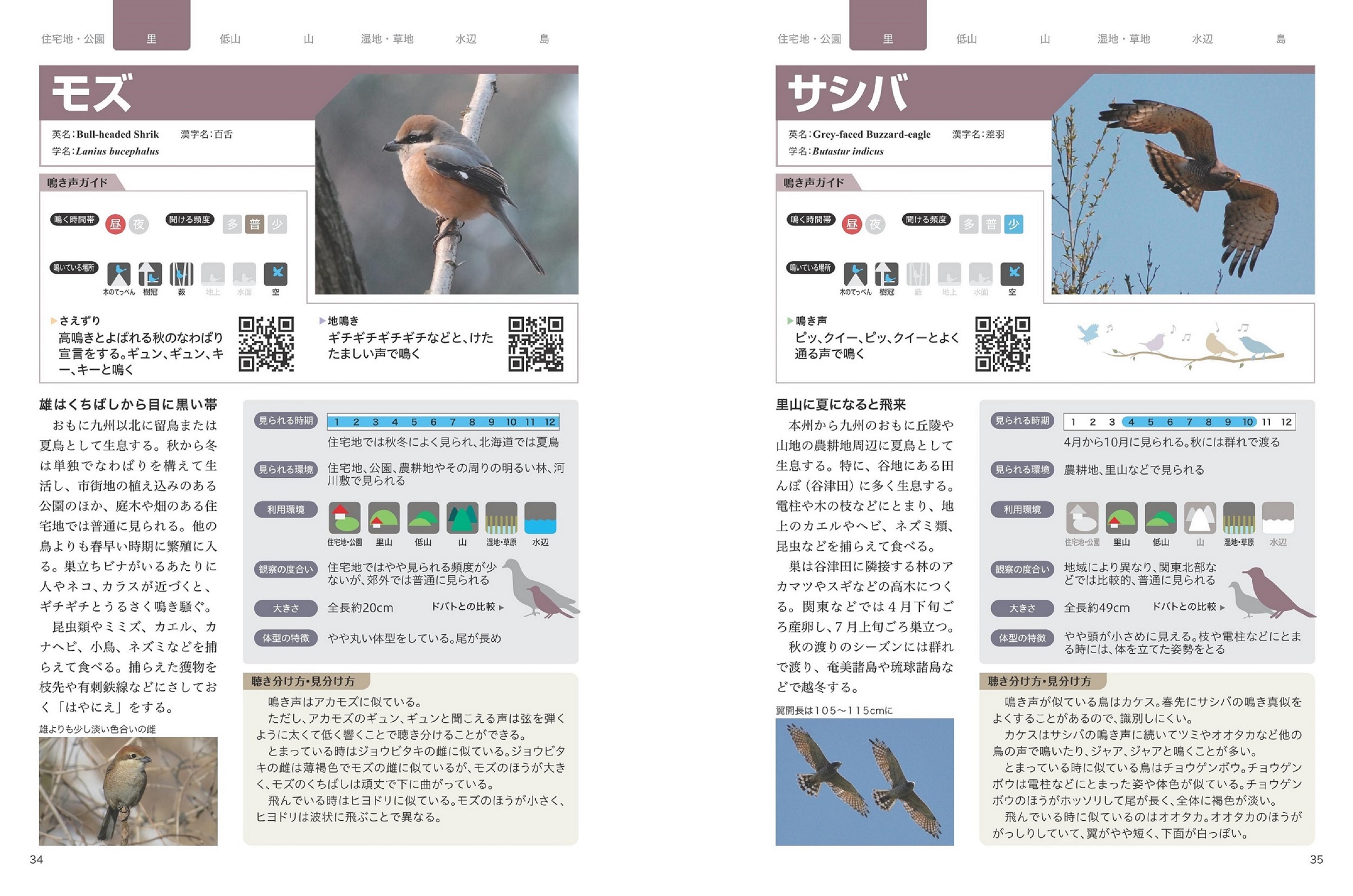 サムネイル画像4