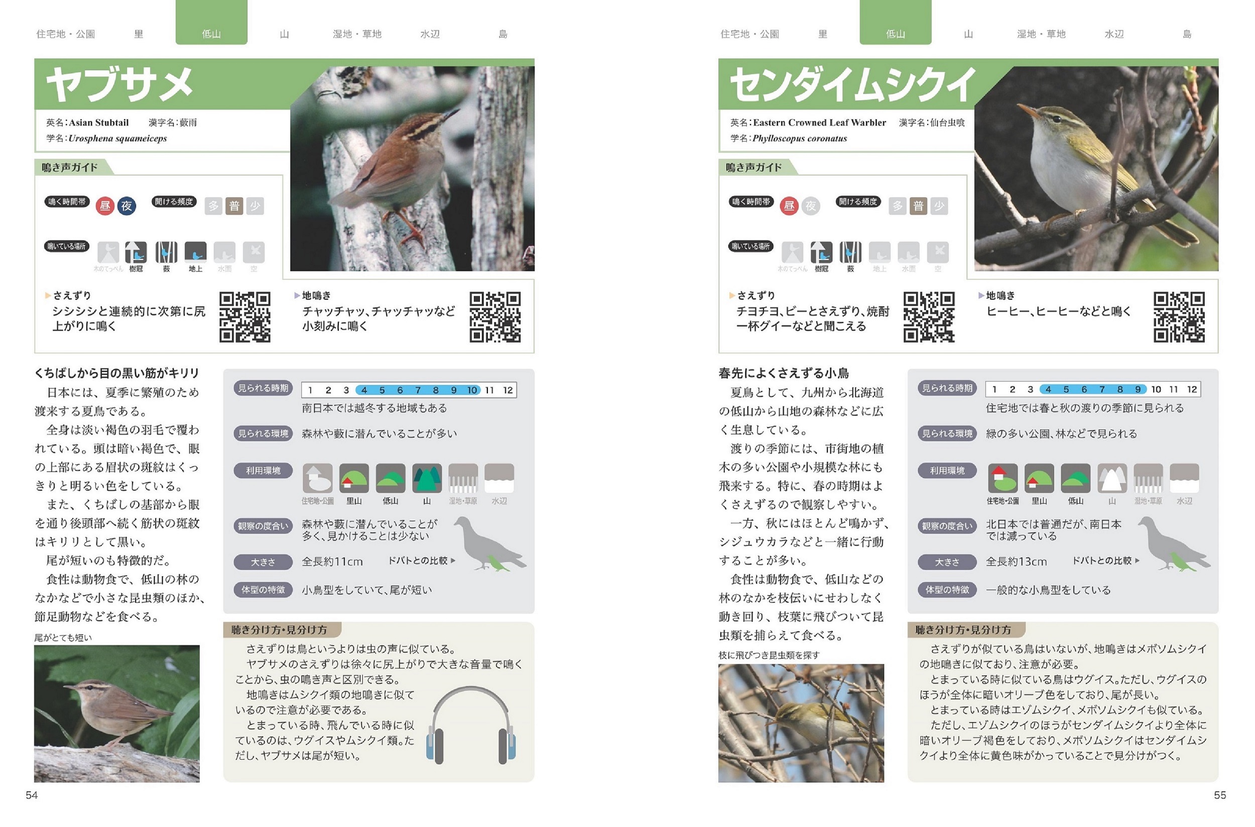 サムネイル画像5