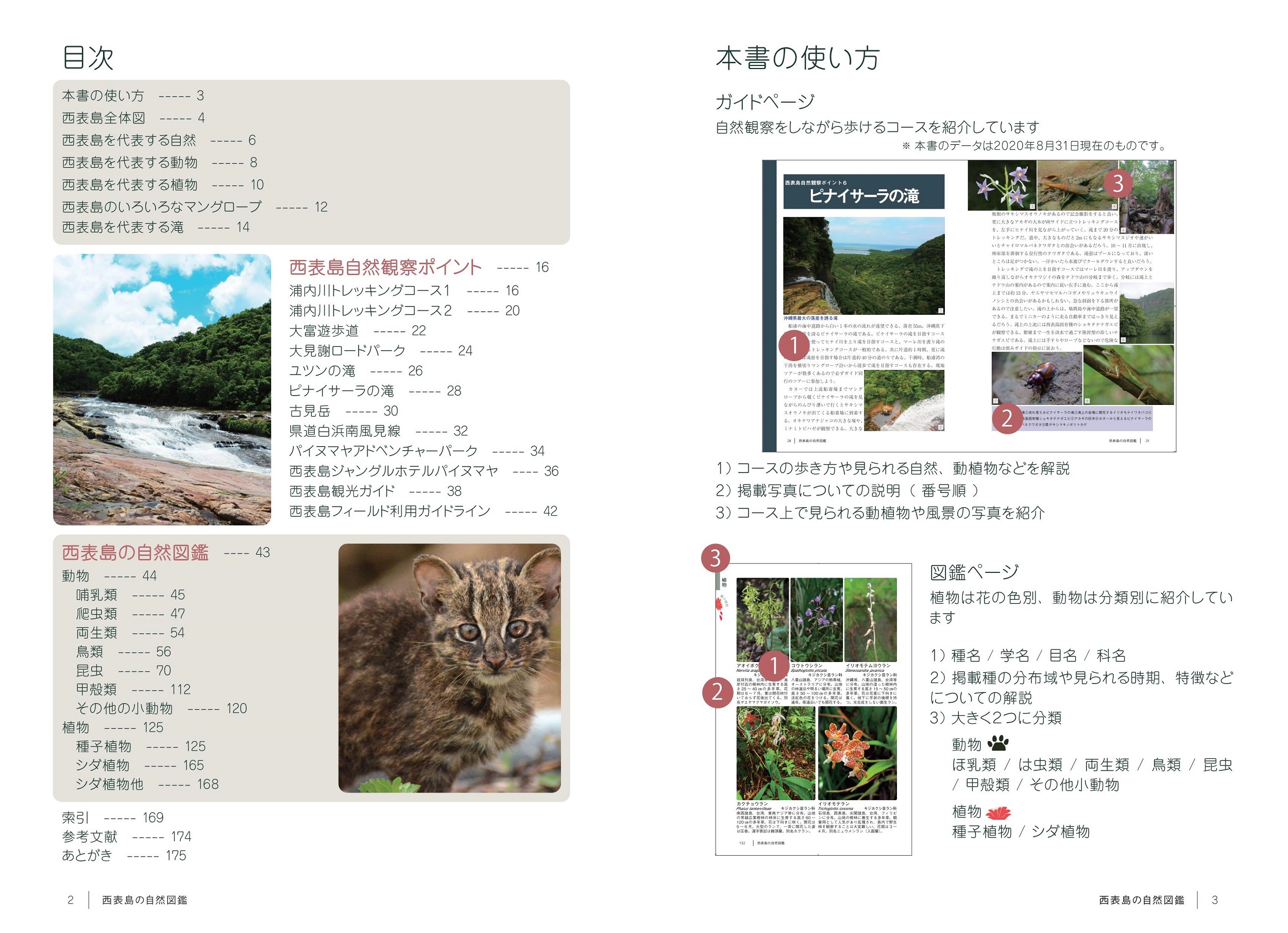 サムネイル画像1