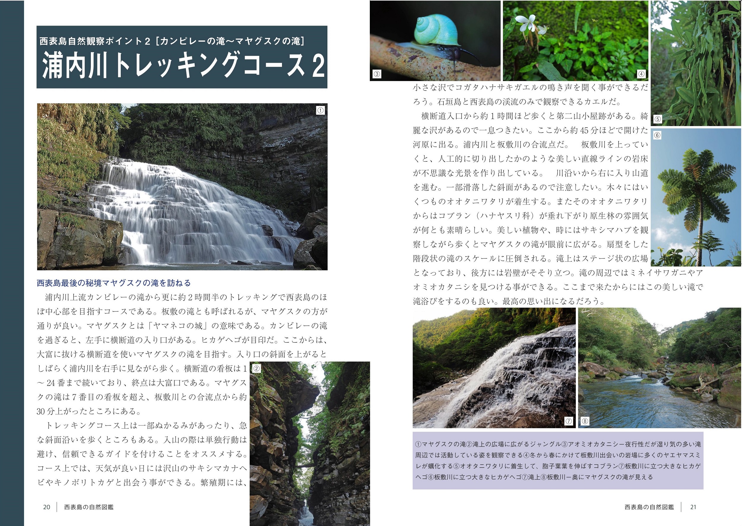 サムネイル画像2