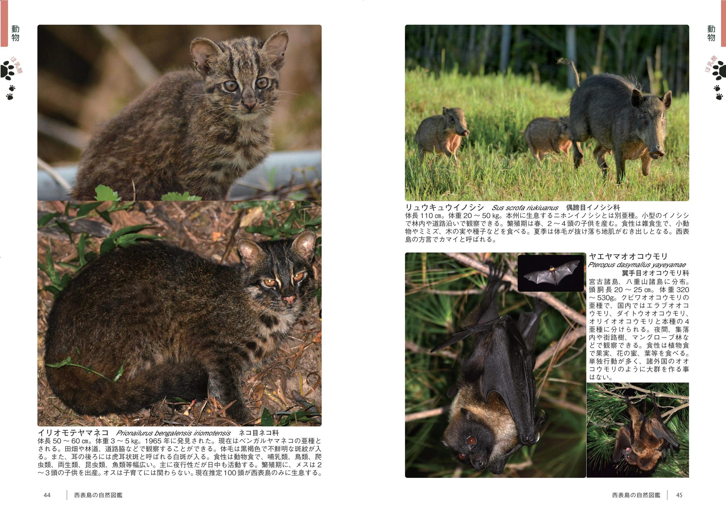 サムネイル画像4