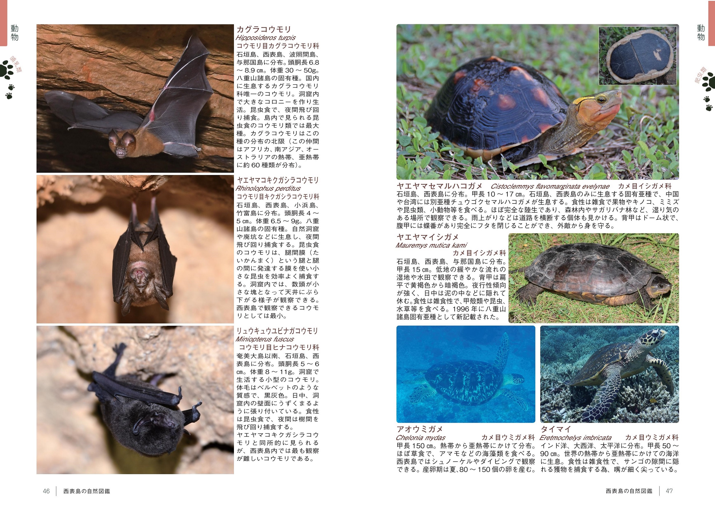 サムネイル画像5