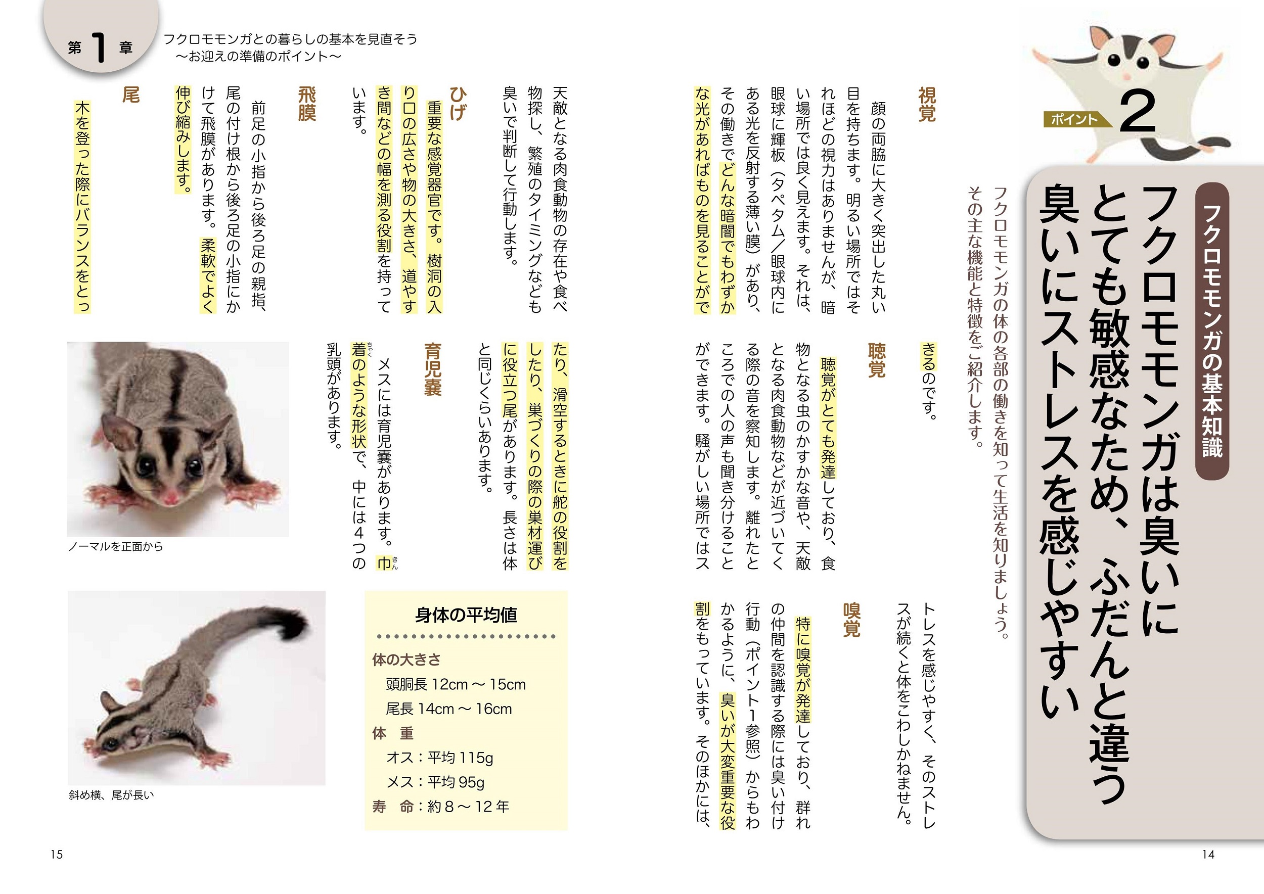 サムネイル画像3