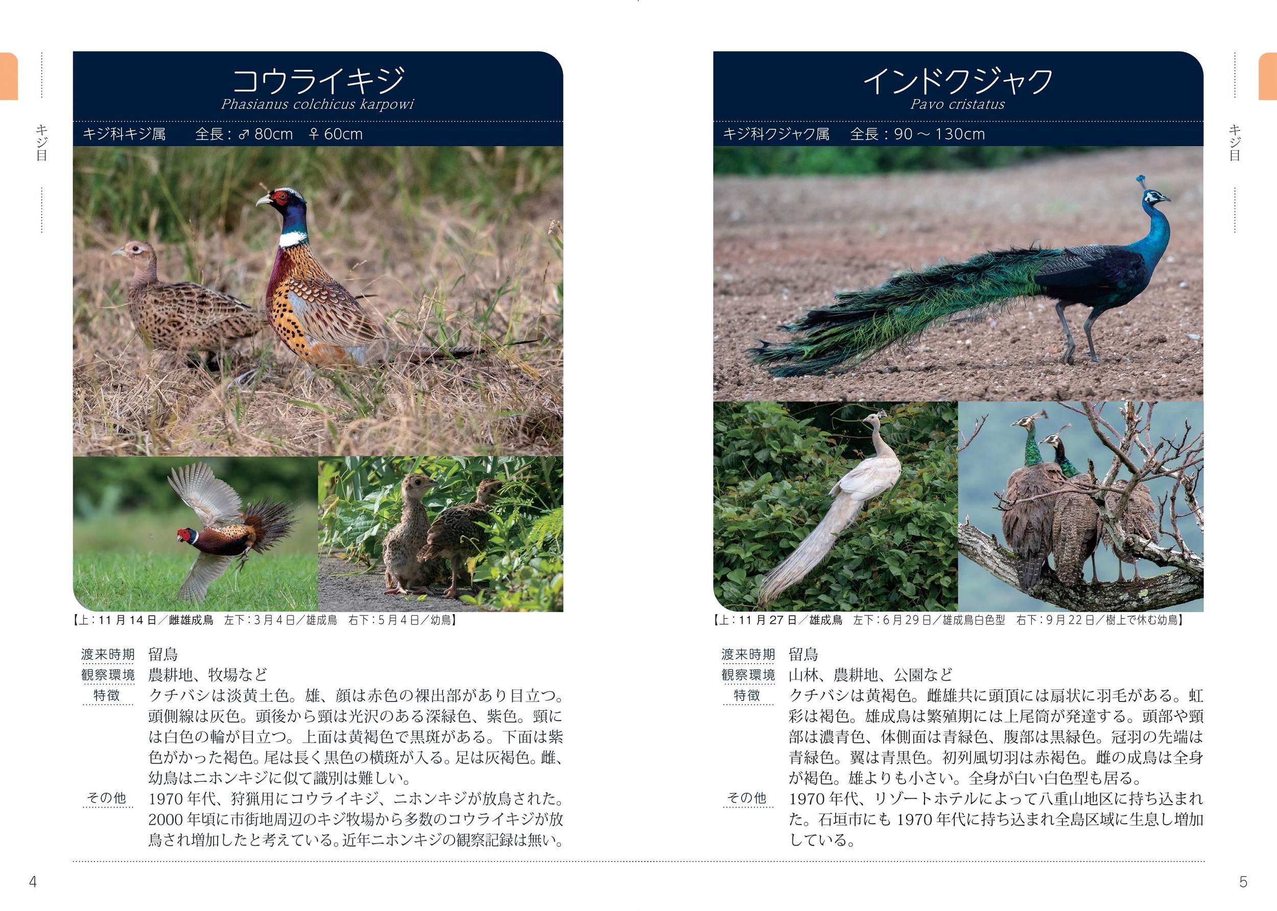 サムネイル画像2