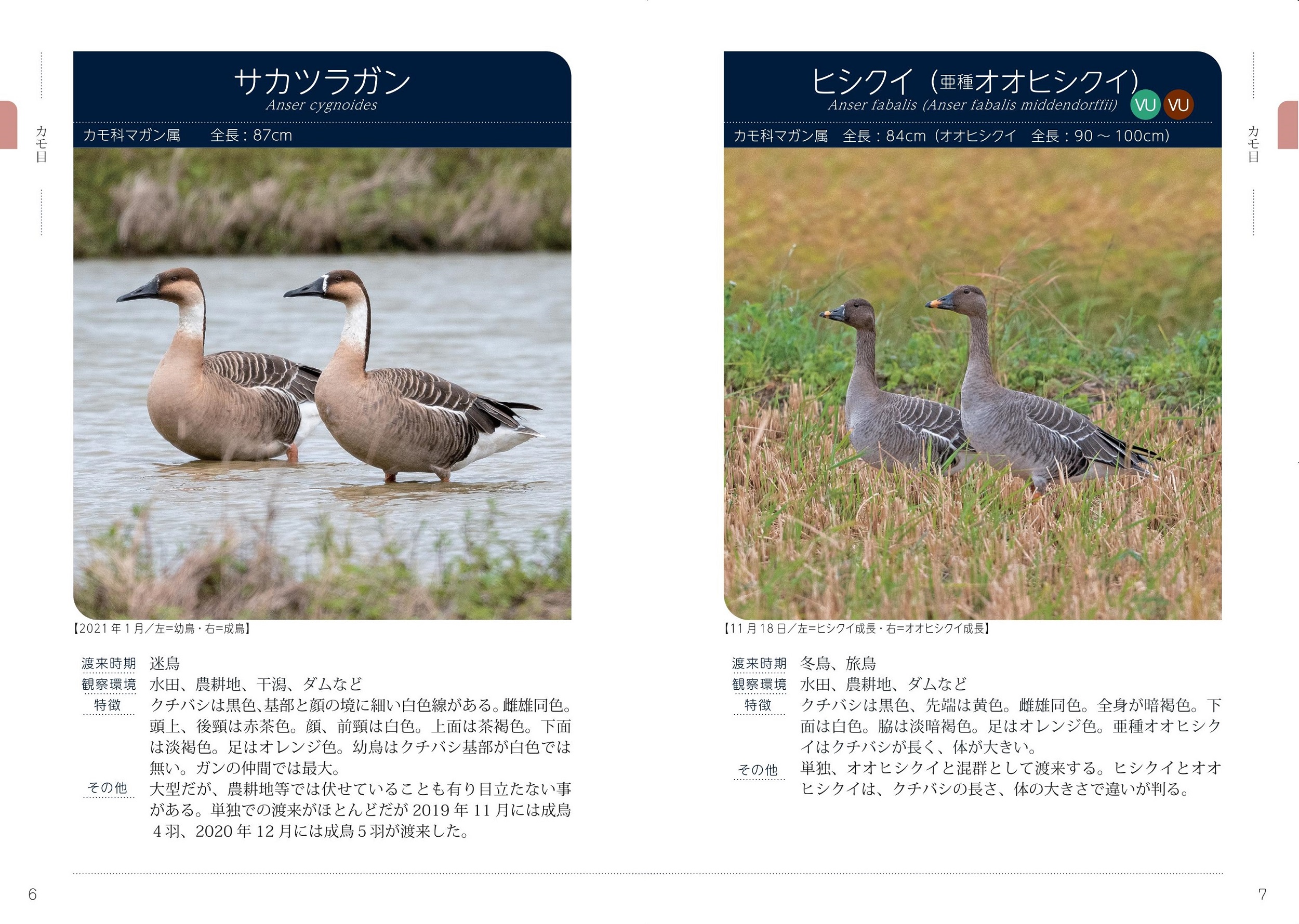 サムネイル画像3