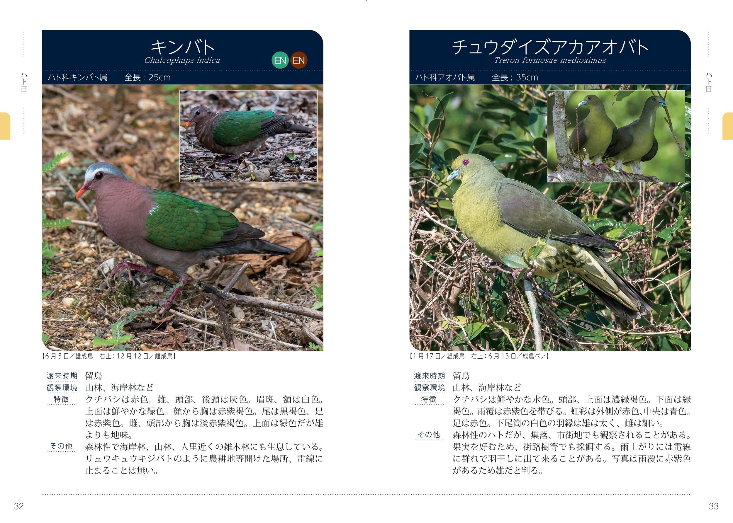 サムネイル画像4