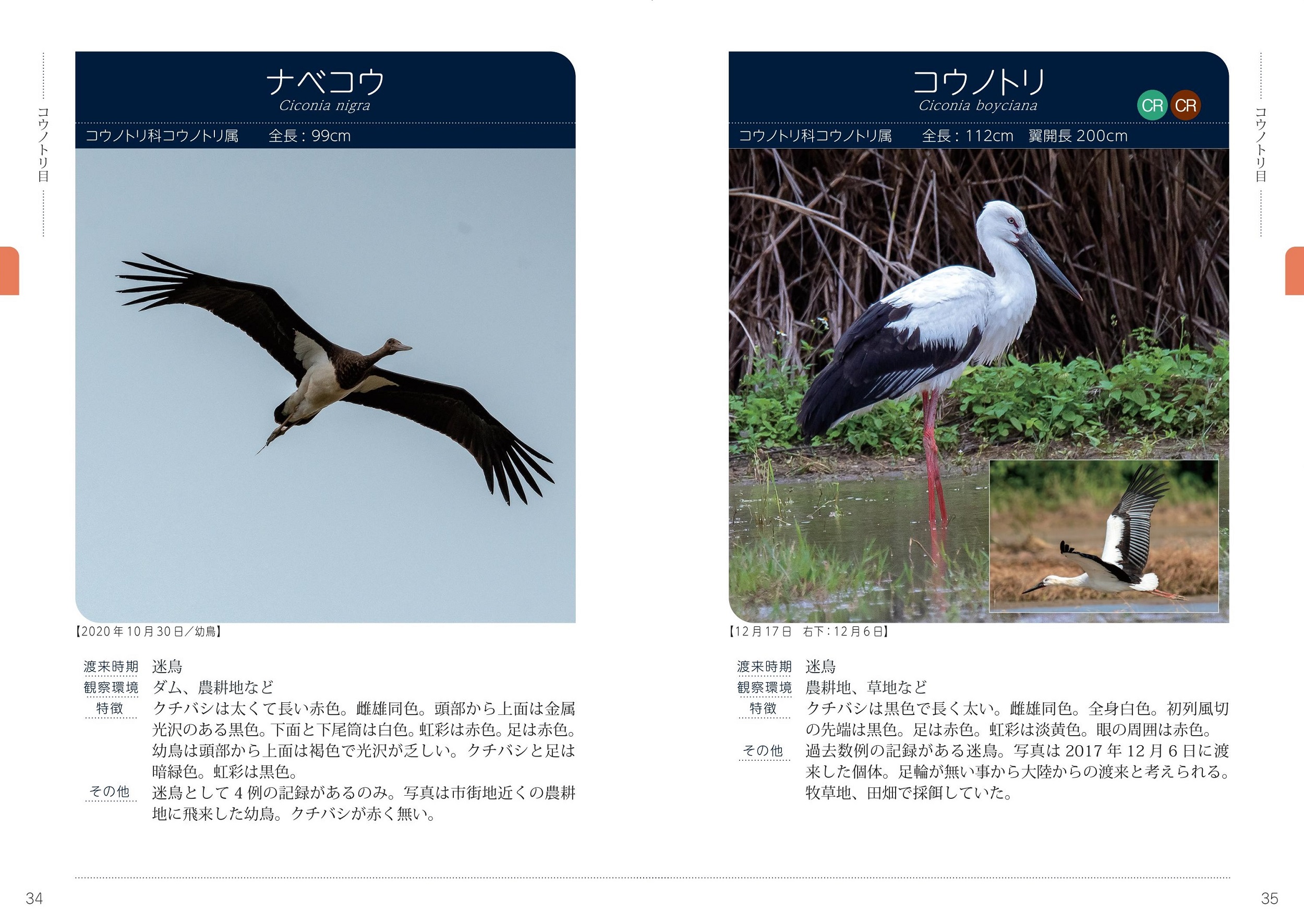 サムネイル画像5