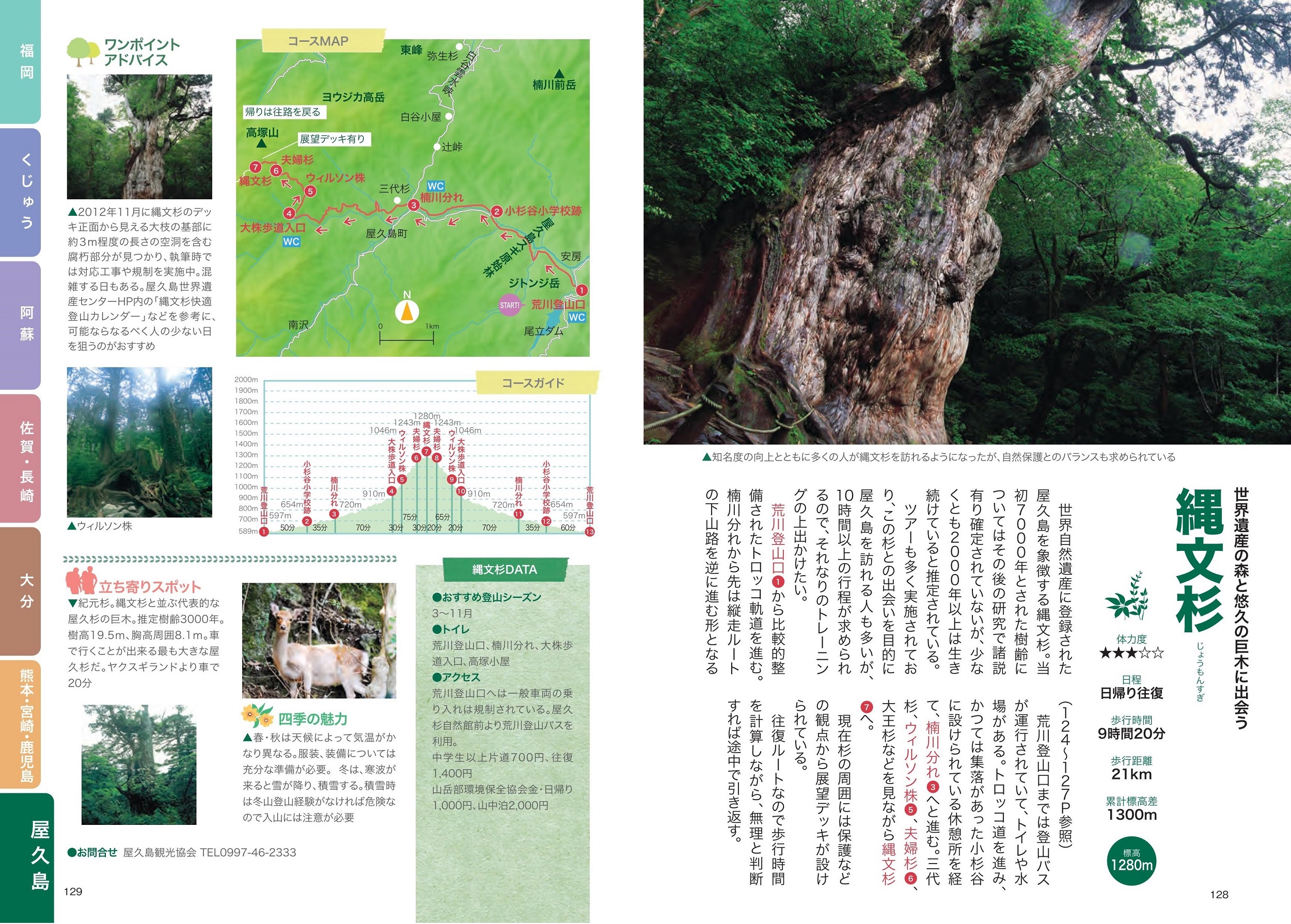 サムネイル画像5