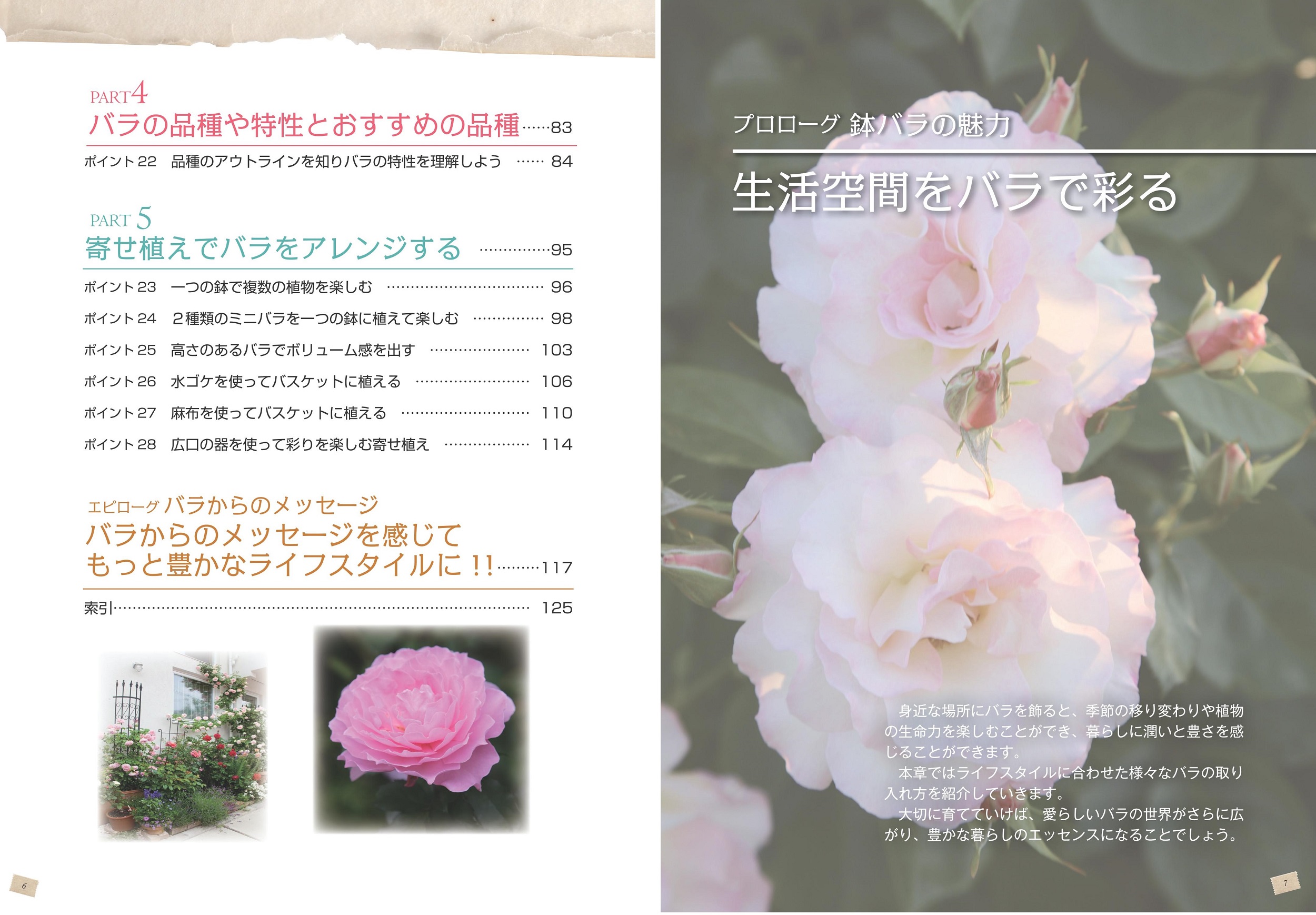 サムネイル画像2