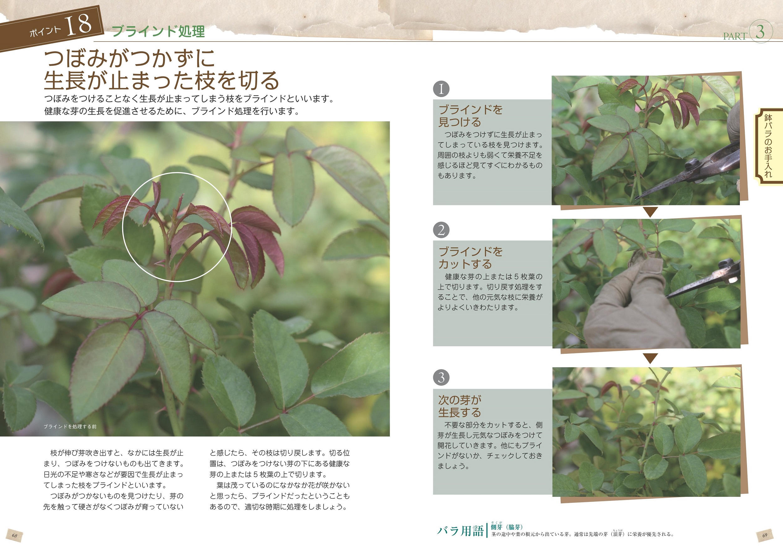サムネイル画像4