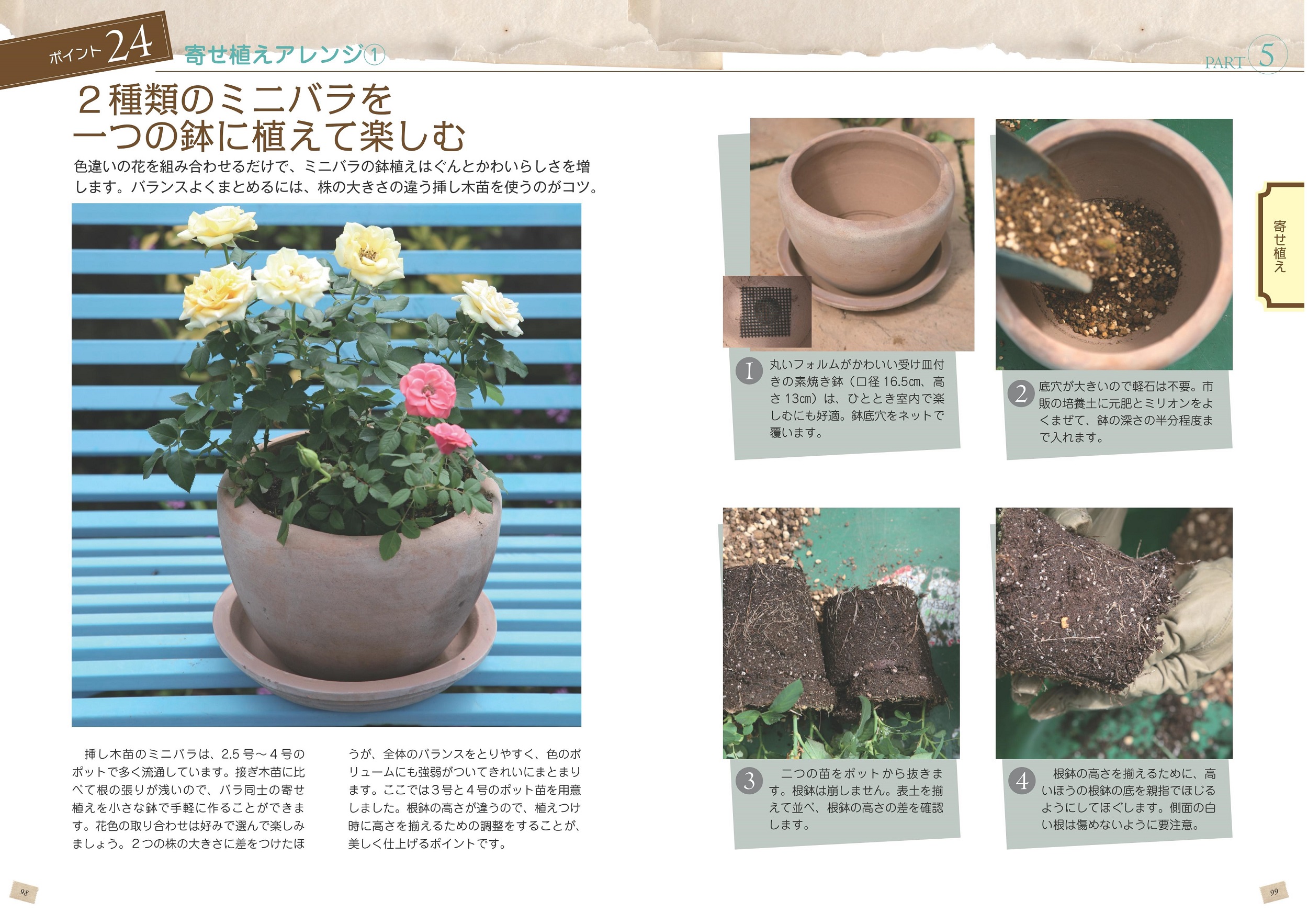 サムネイル画像5