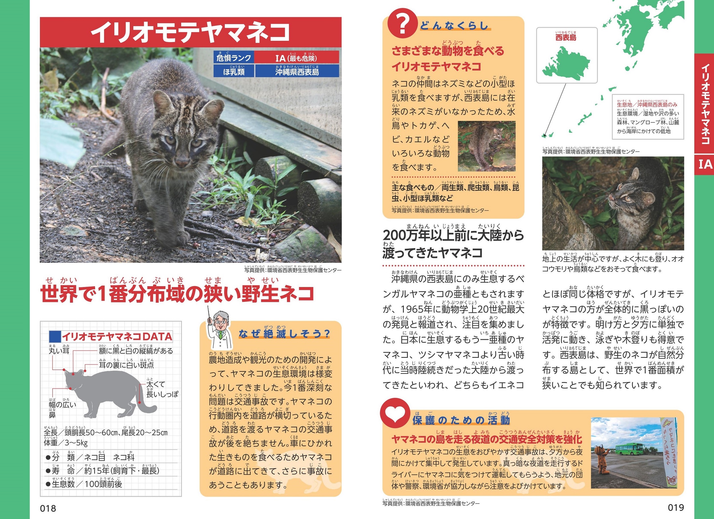 サムネイル画像2