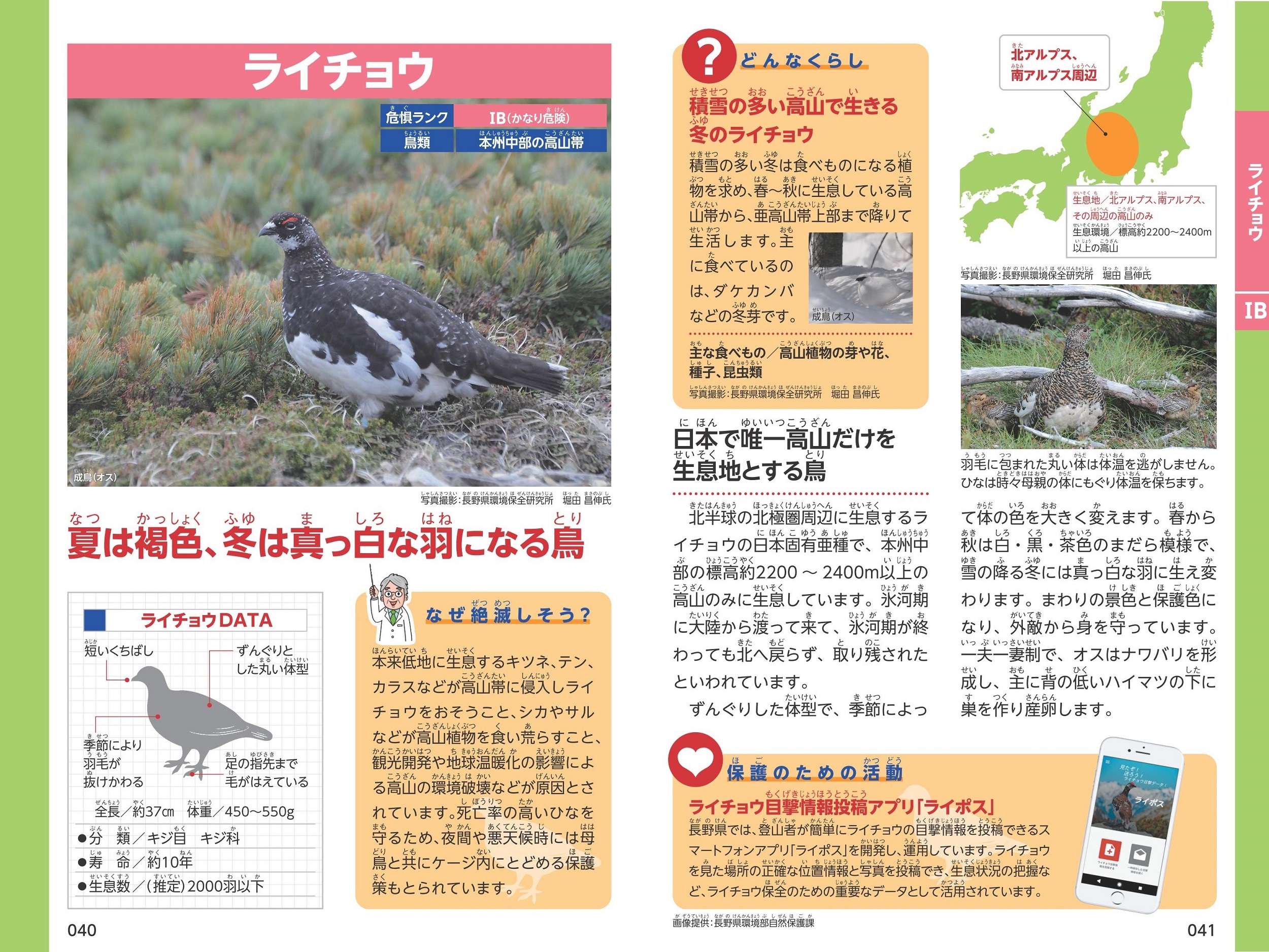 サムネイル画像3