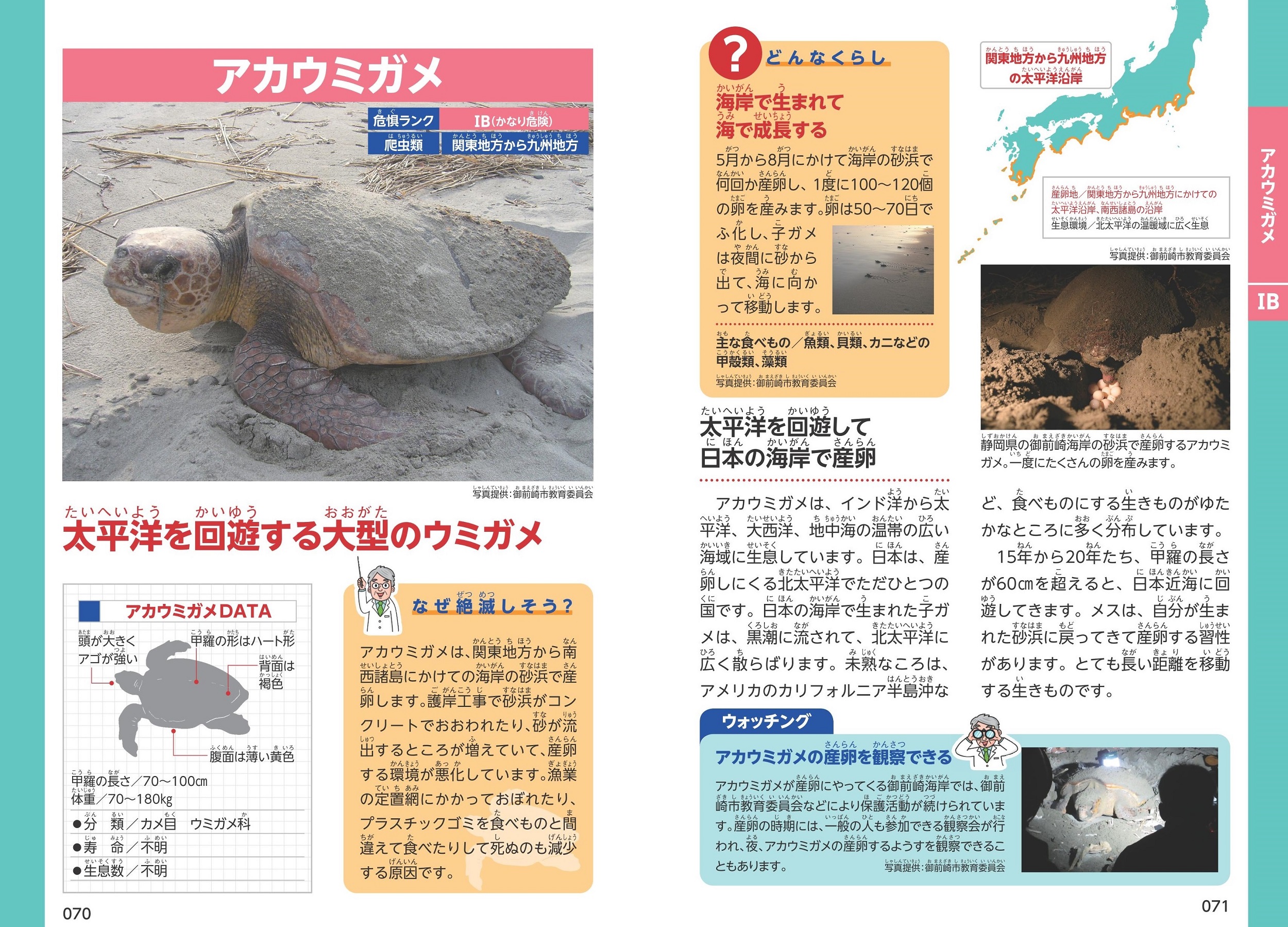 サムネイル画像4