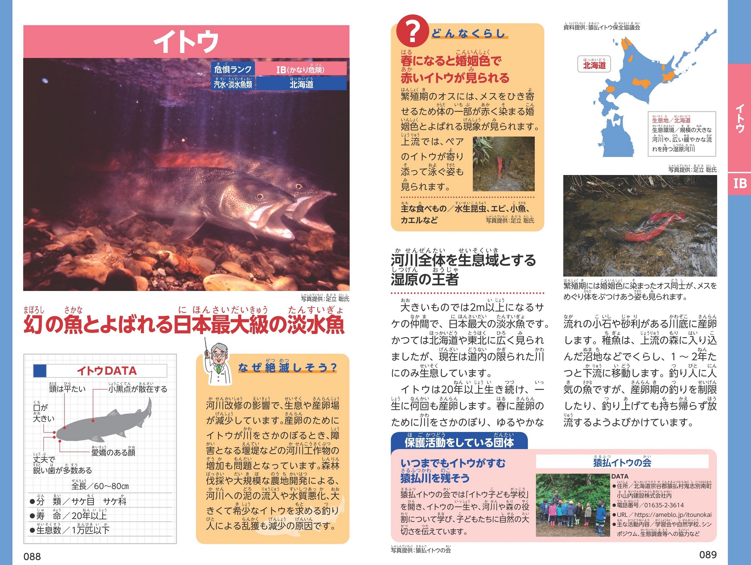 サムネイル画像5