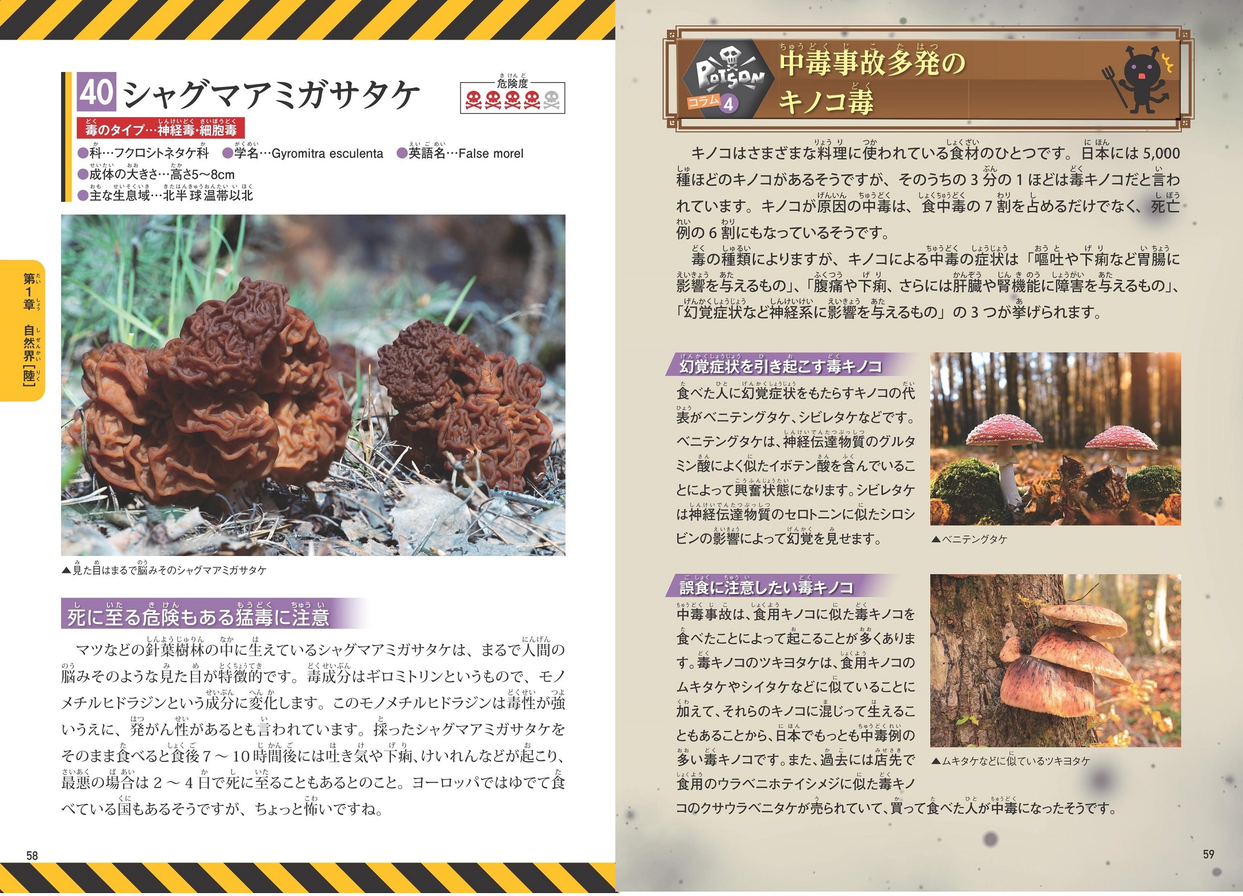 サムネイル画像3