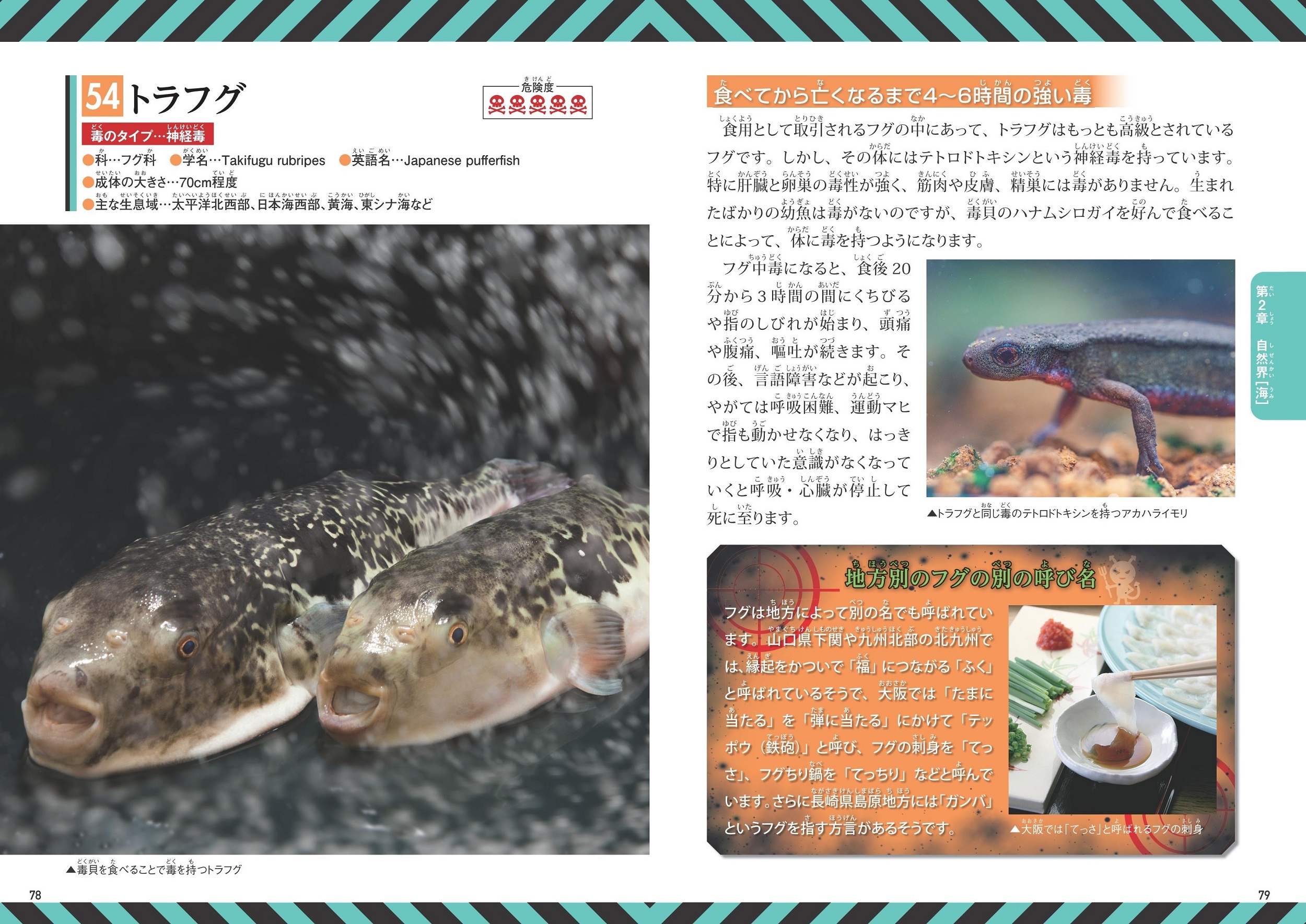 サムネイル画像4