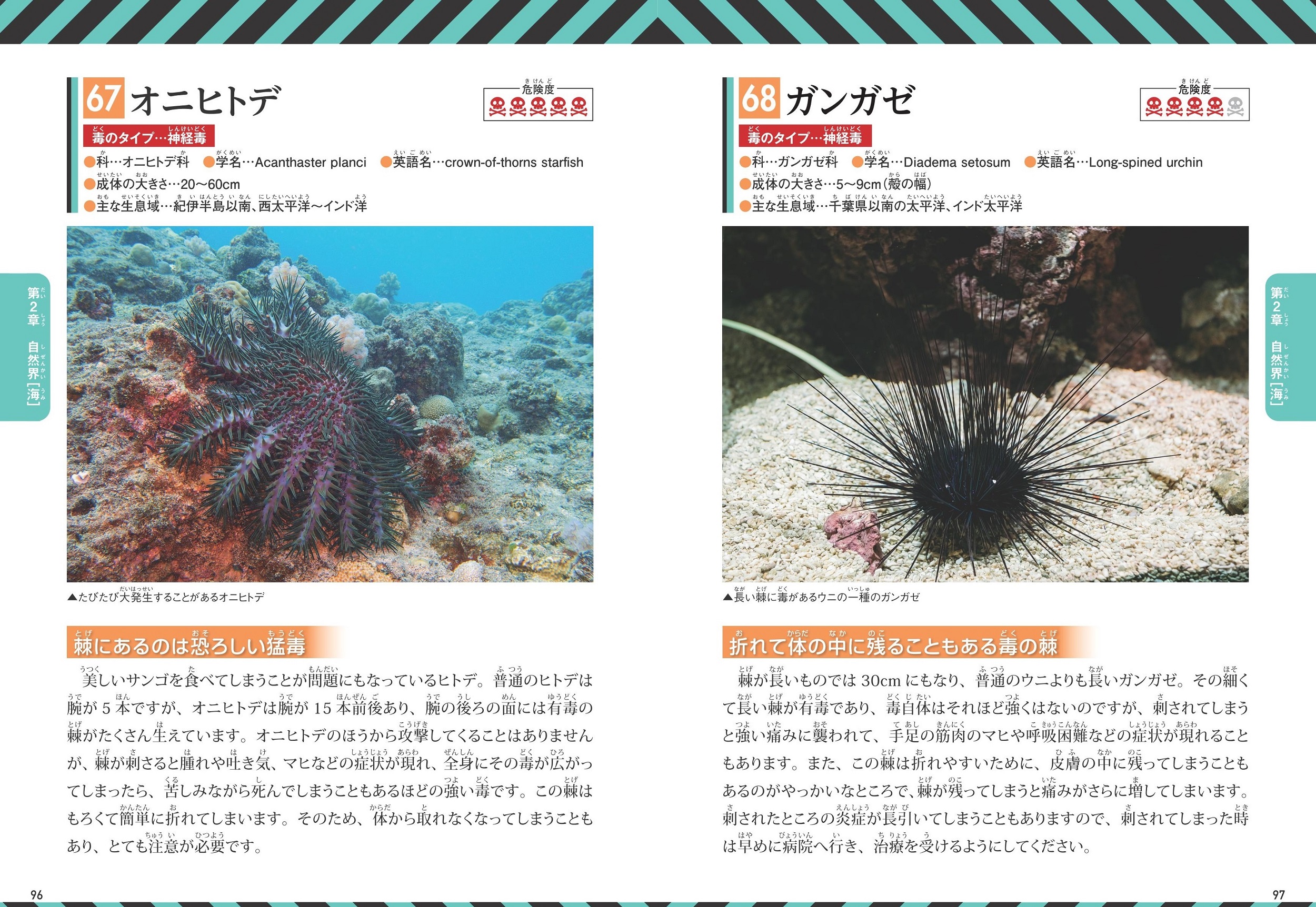 サムネイル画像5