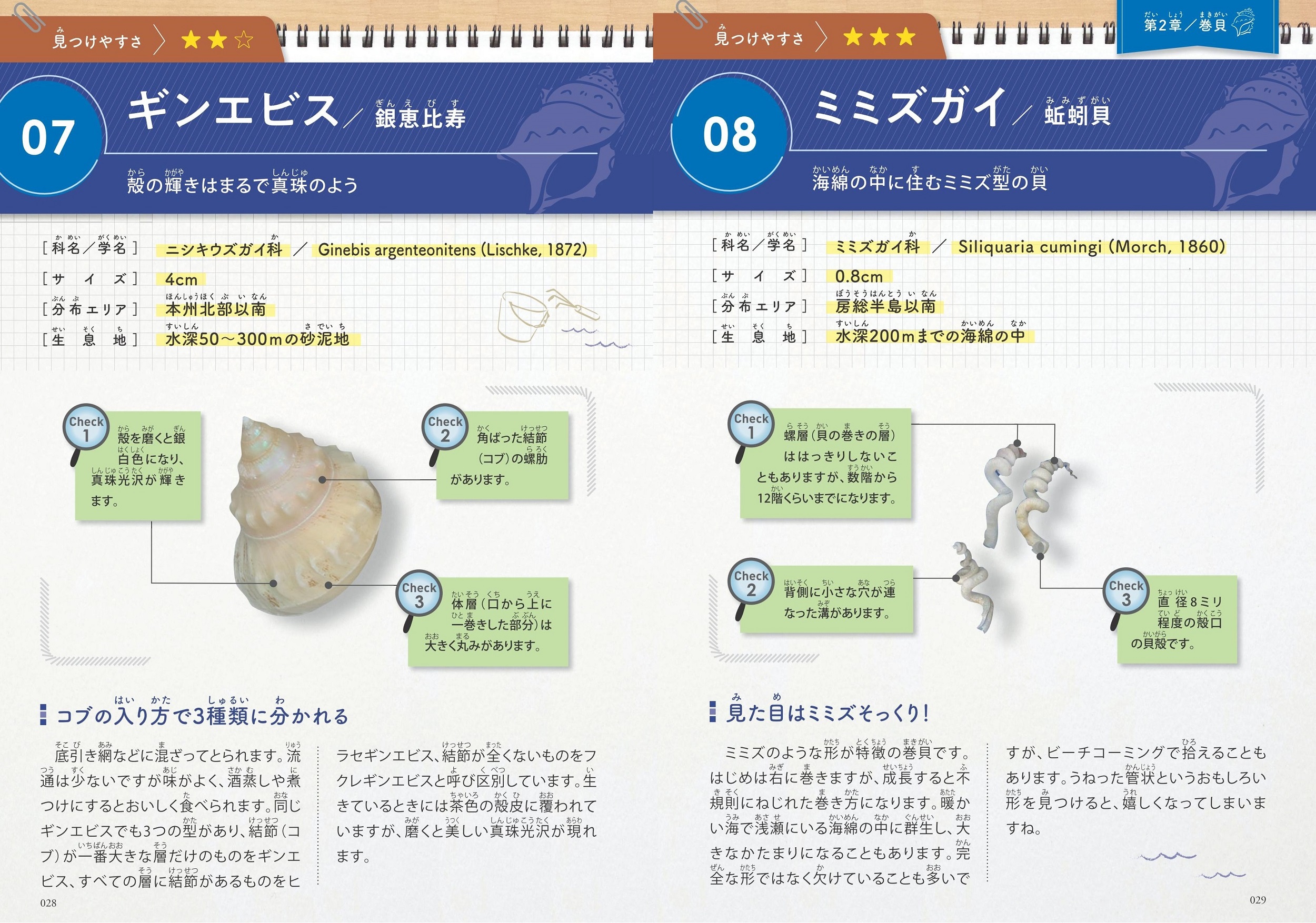 サムネイル画像2