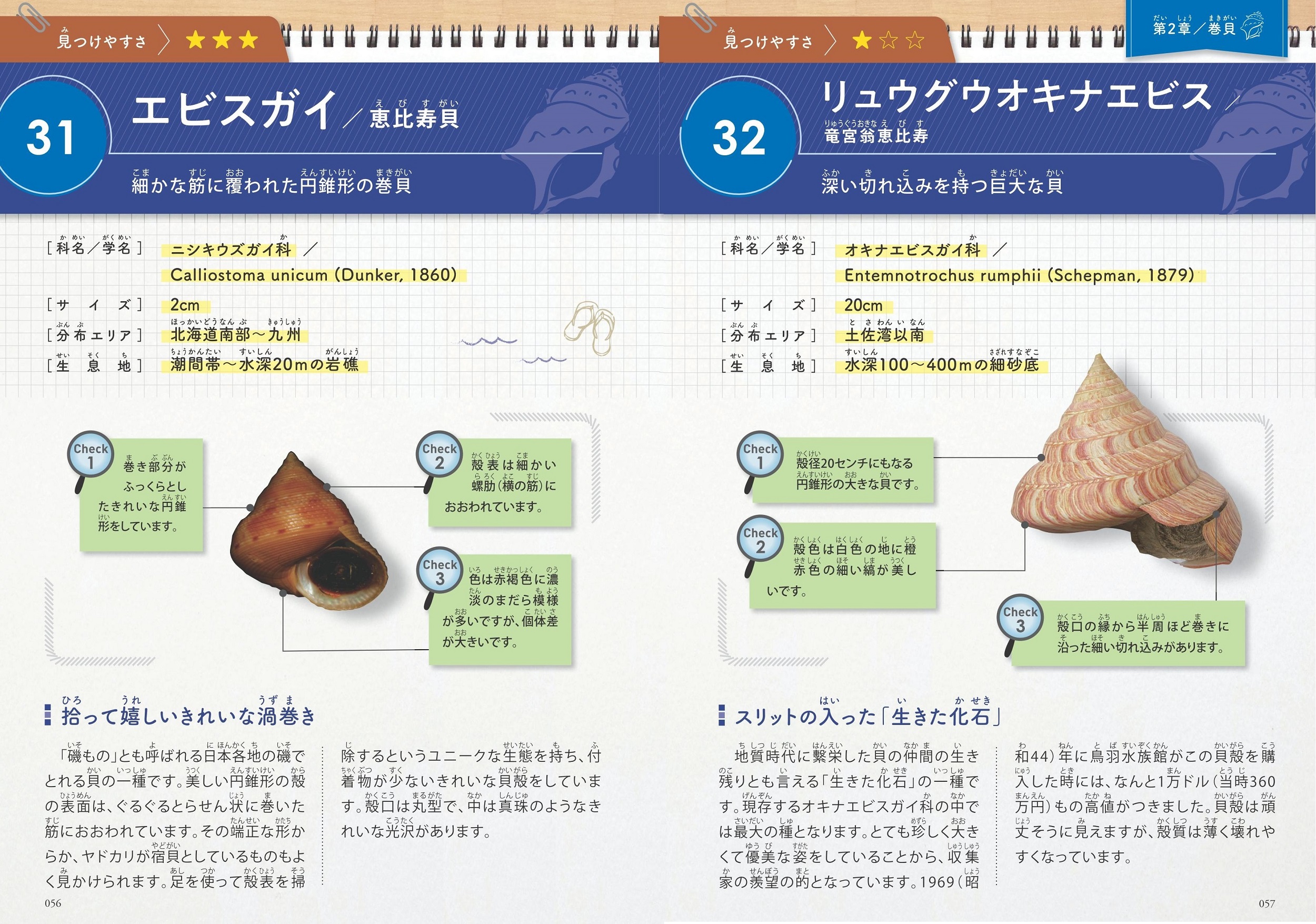 サムネイル画像3