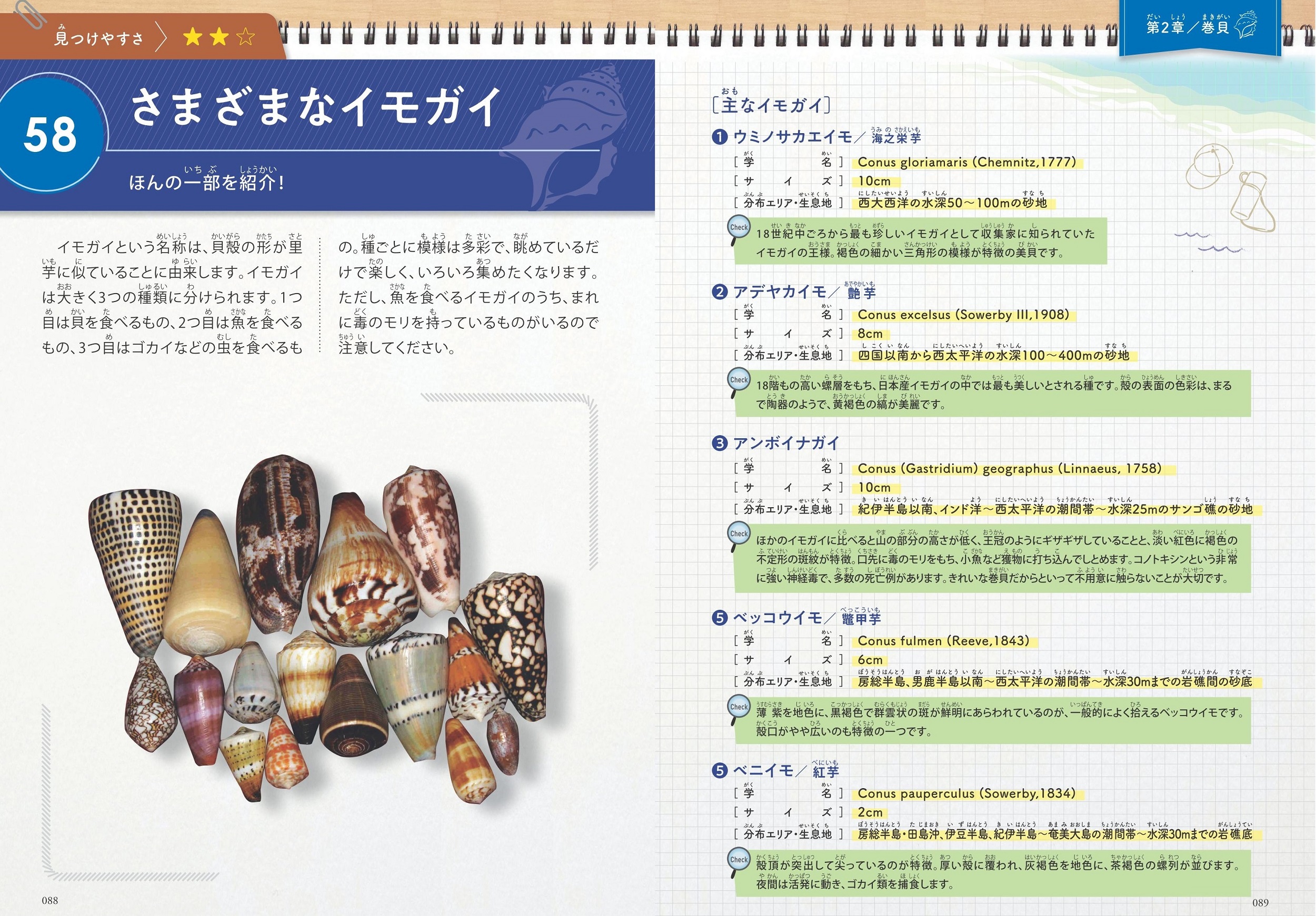 サムネイル画像4