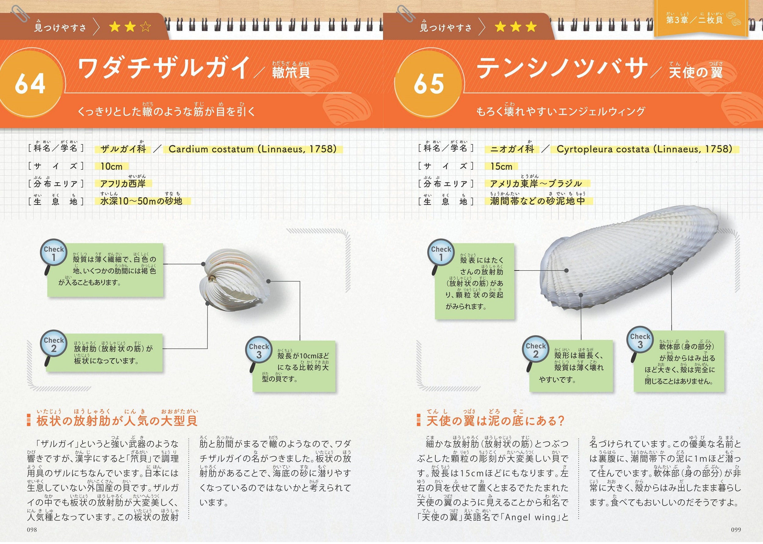 サムネイル画像5