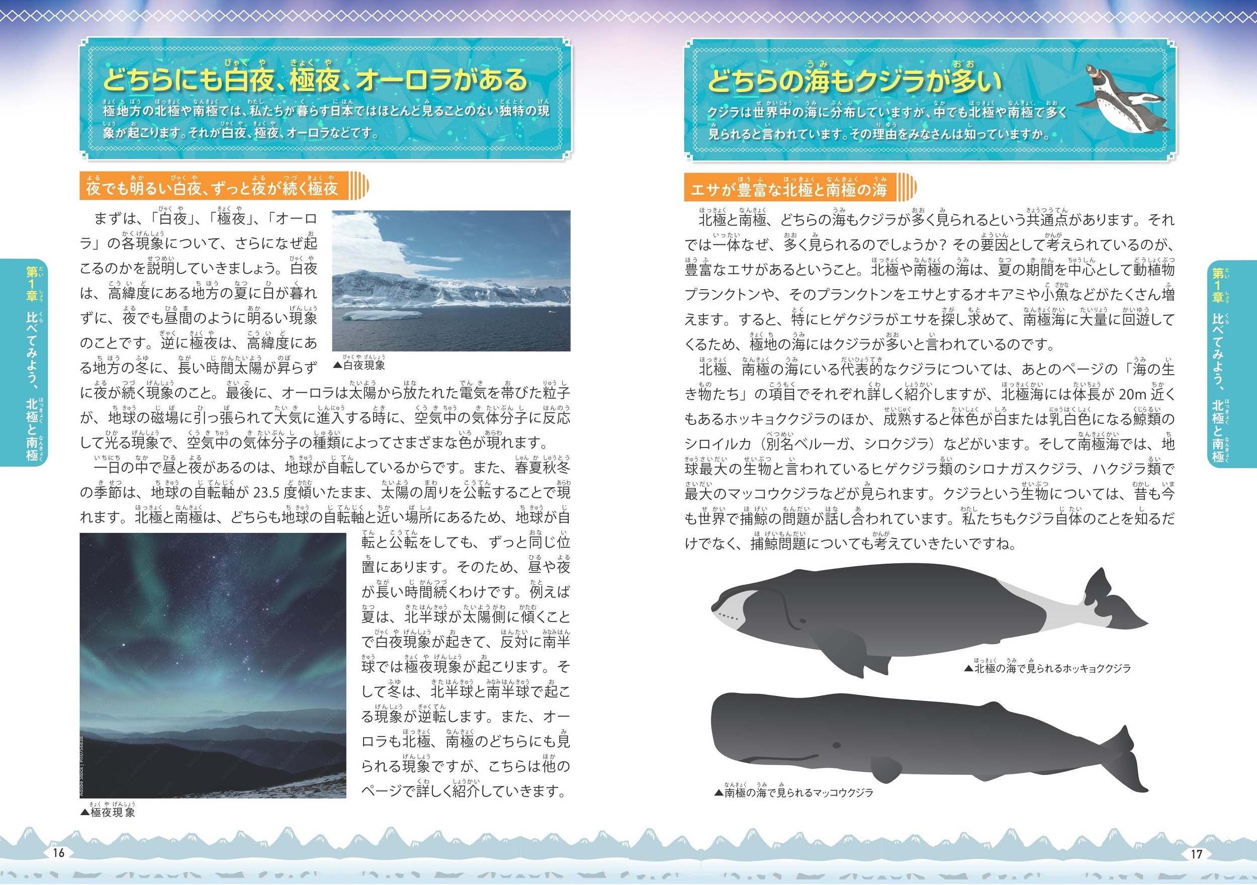サムネイル画像2