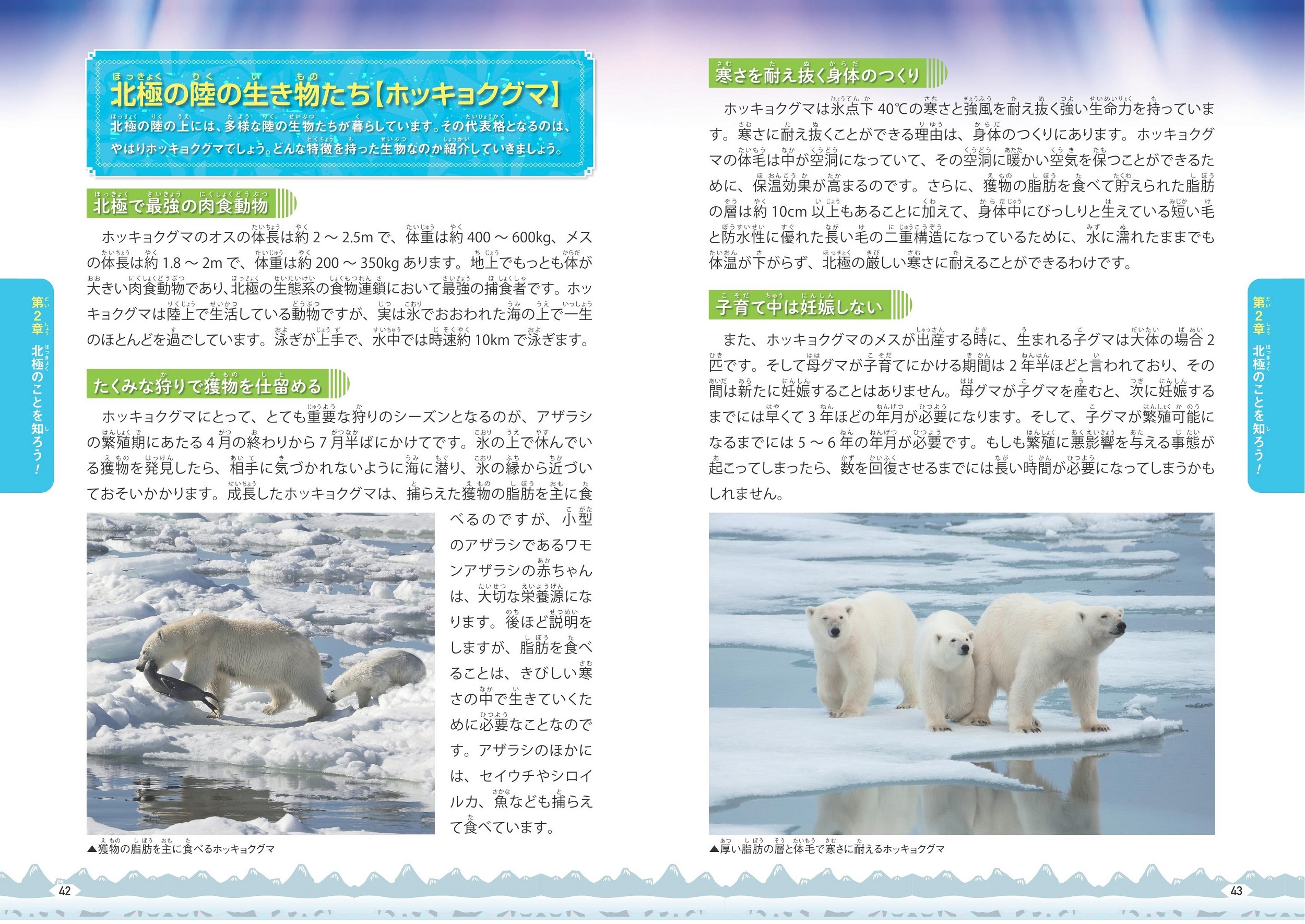 サムネイル画像4