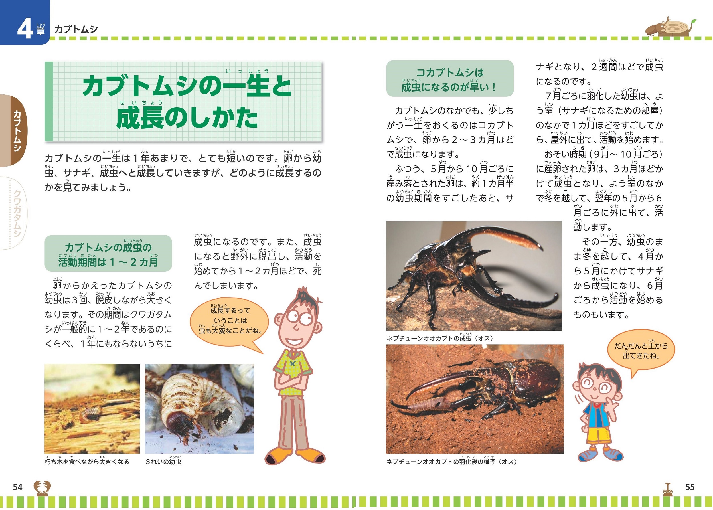 サムネイル画像4