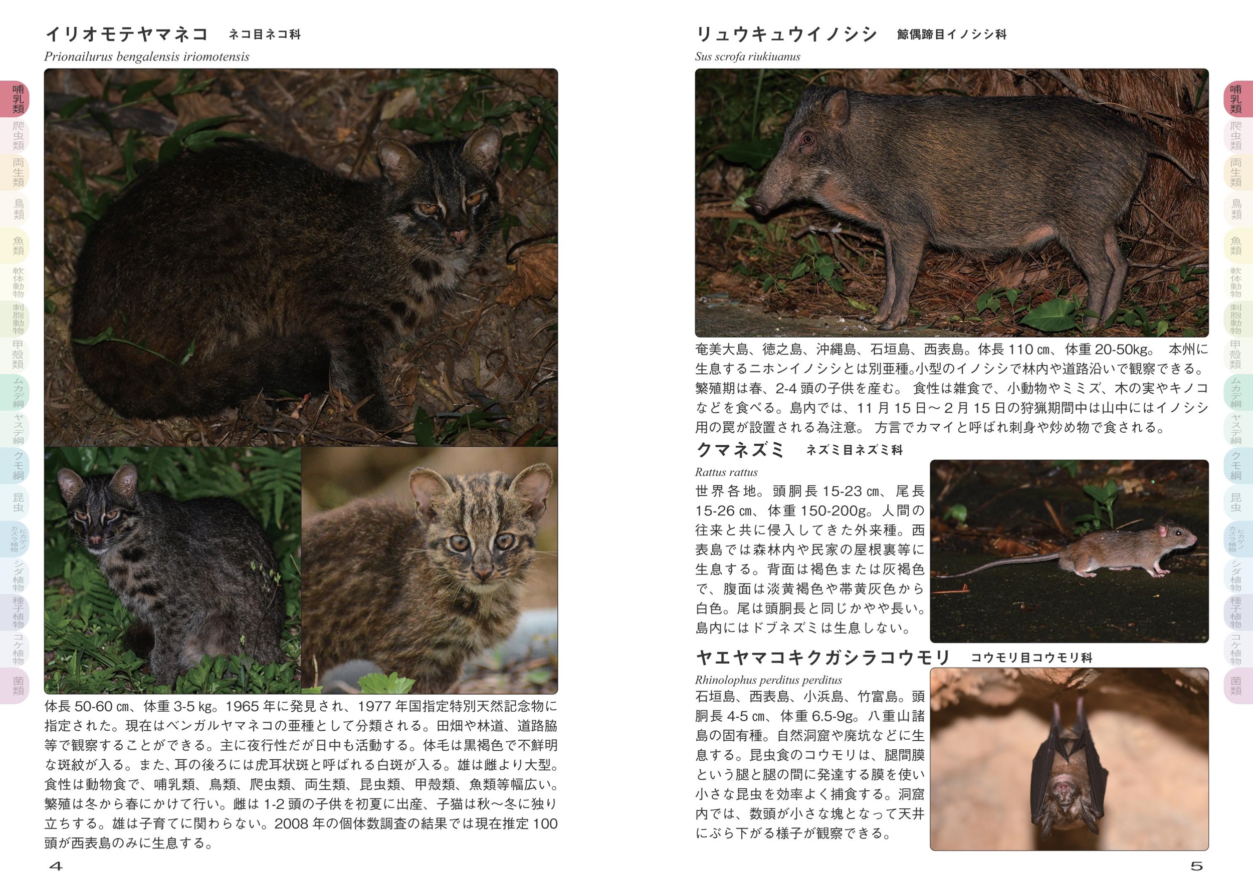サムネイル画像2