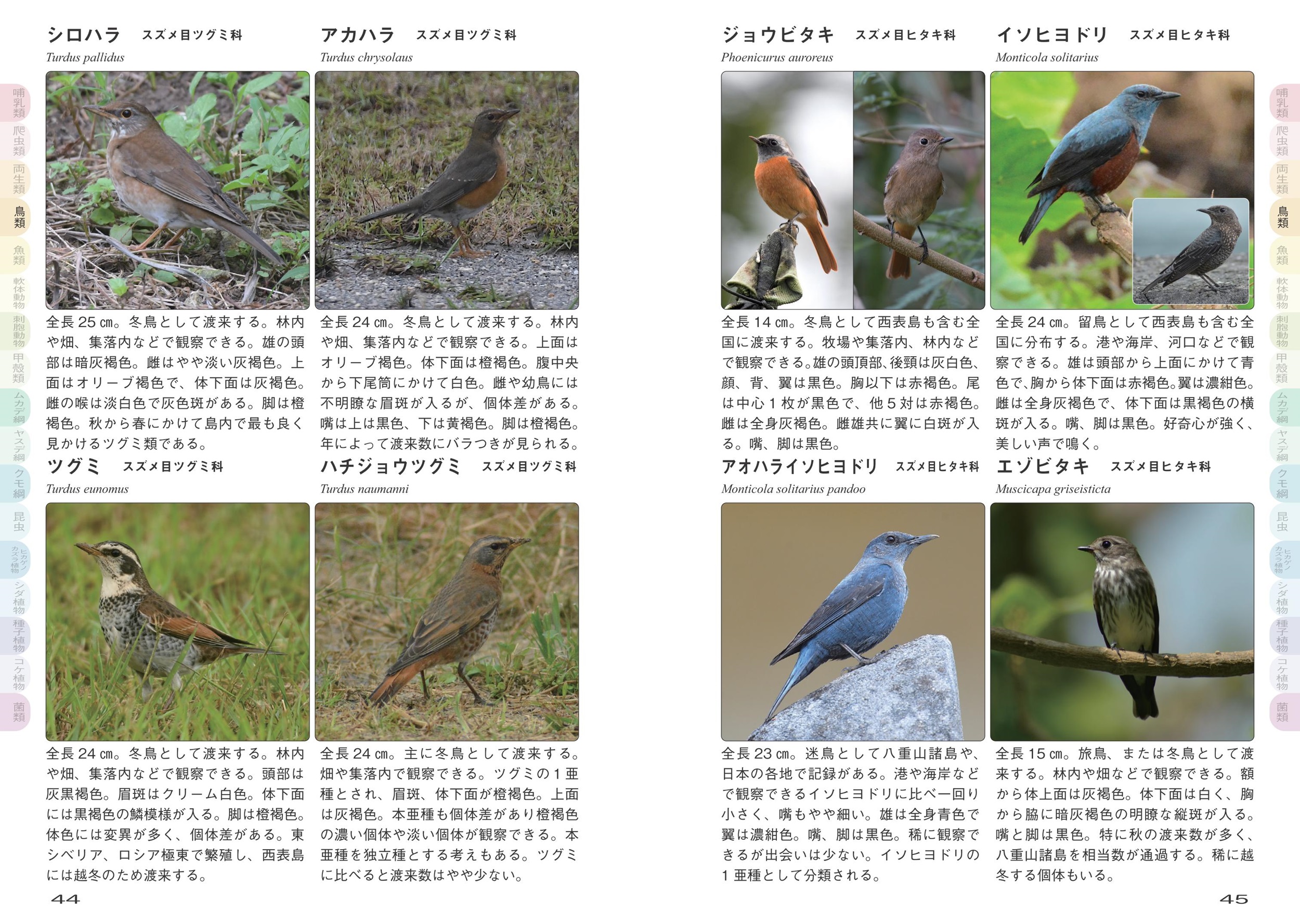 サムネイル画像4