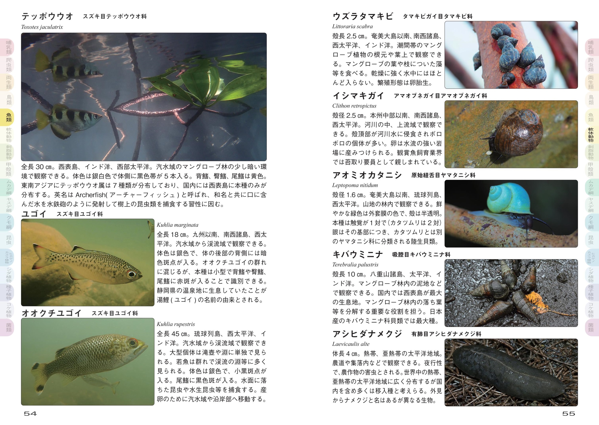 サムネイル画像5