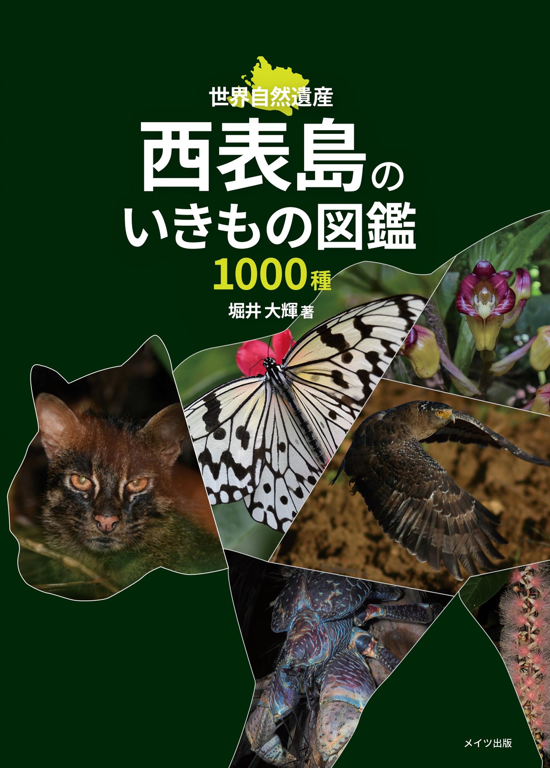 メイン画像