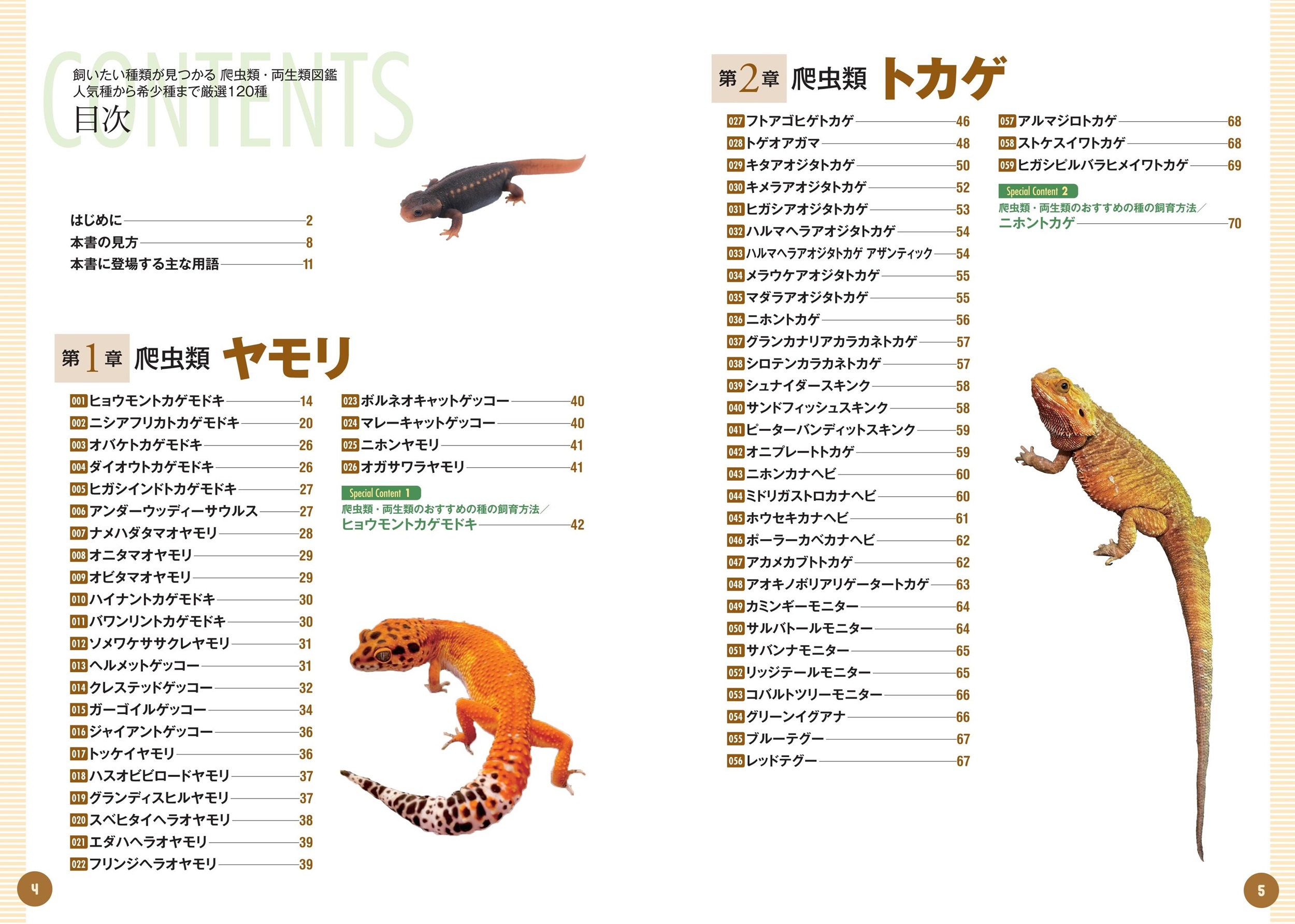 サムネイル画像1