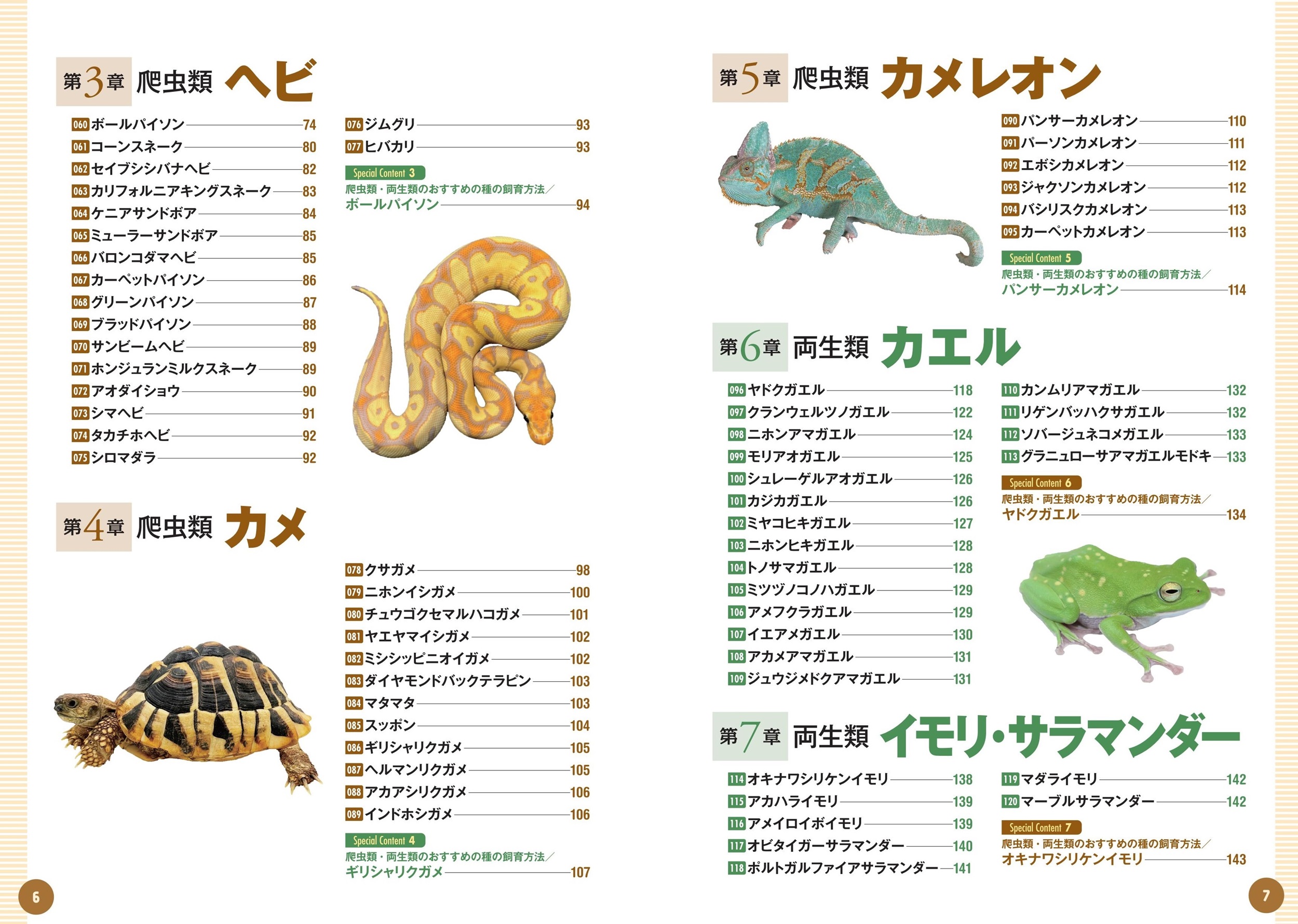 サムネイル画像2