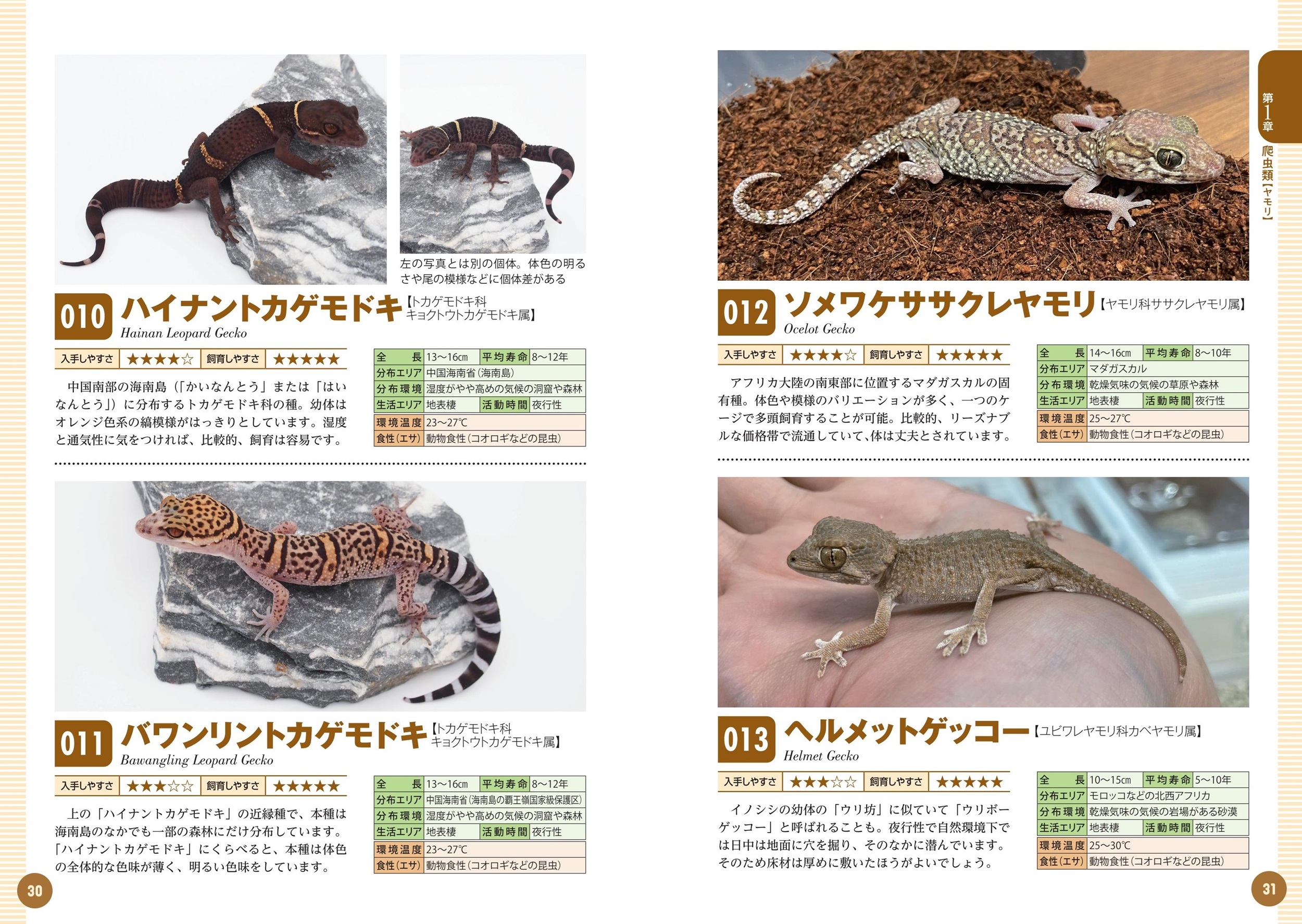 サムネイル画像3