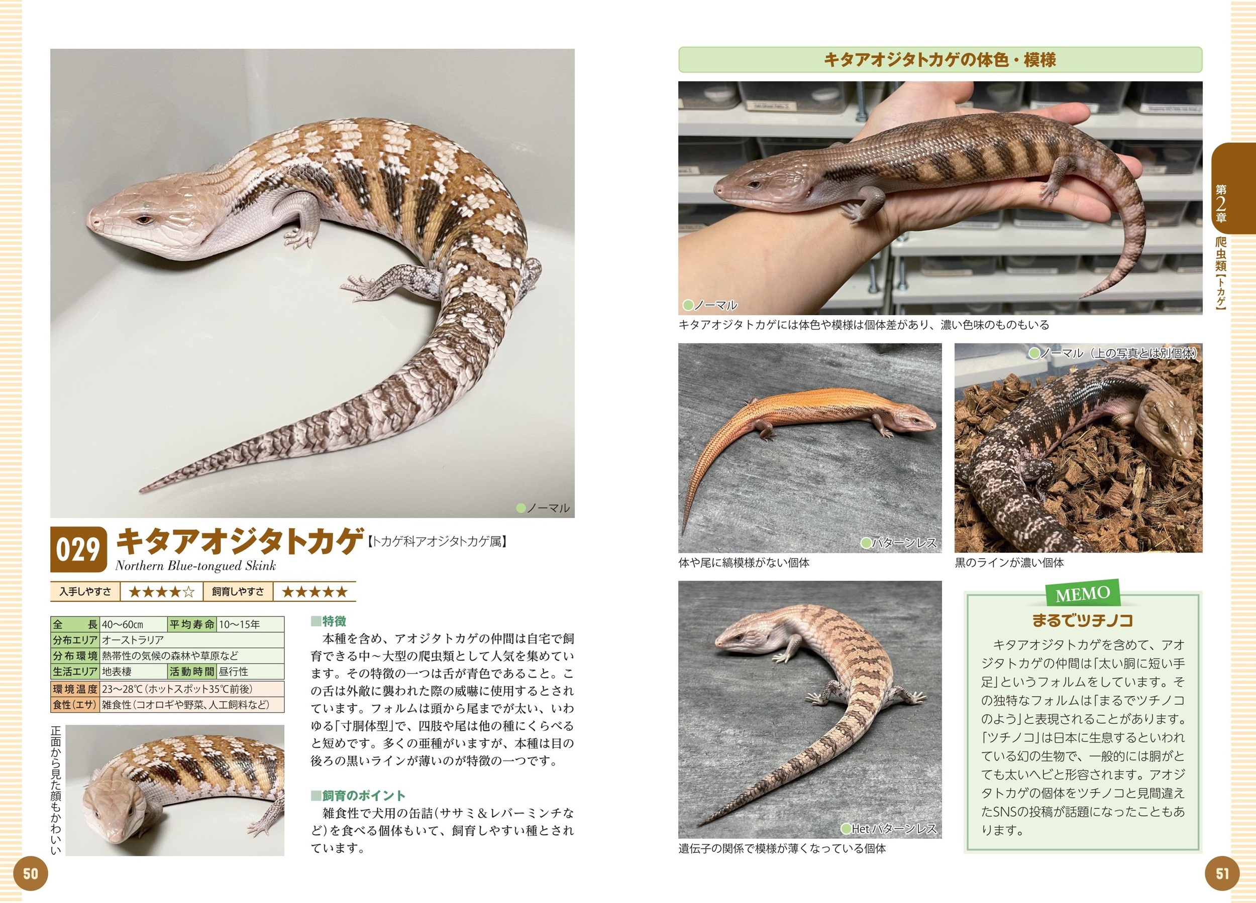 サムネイル画像4