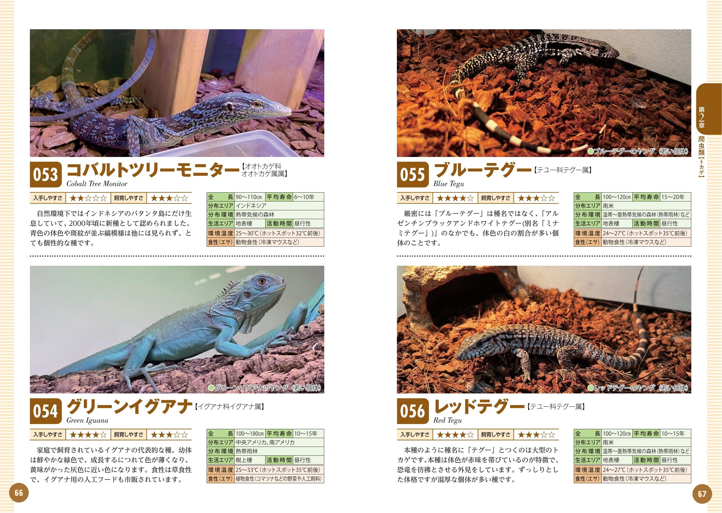サムネイル画像5